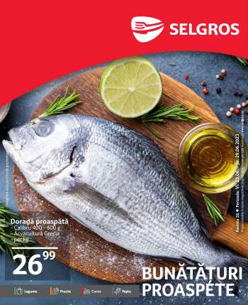 Cataloage Selgros - 23.06.2023 - 29.06.2023.