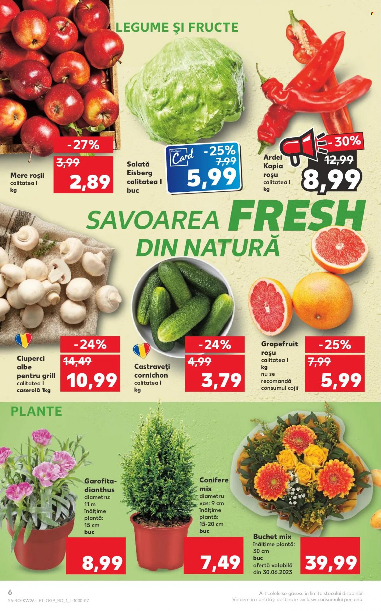 Catalog Kaufland - 28.06.2023 - 04.07.2023. Pagina 6