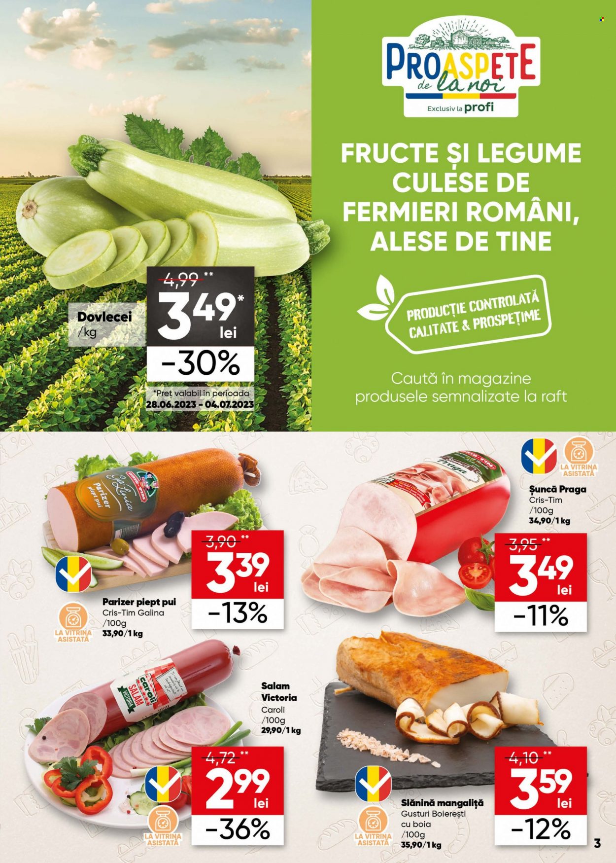 Catalog Profi Loco - 28.06.2023 - 11.07.2023. Pagina 3