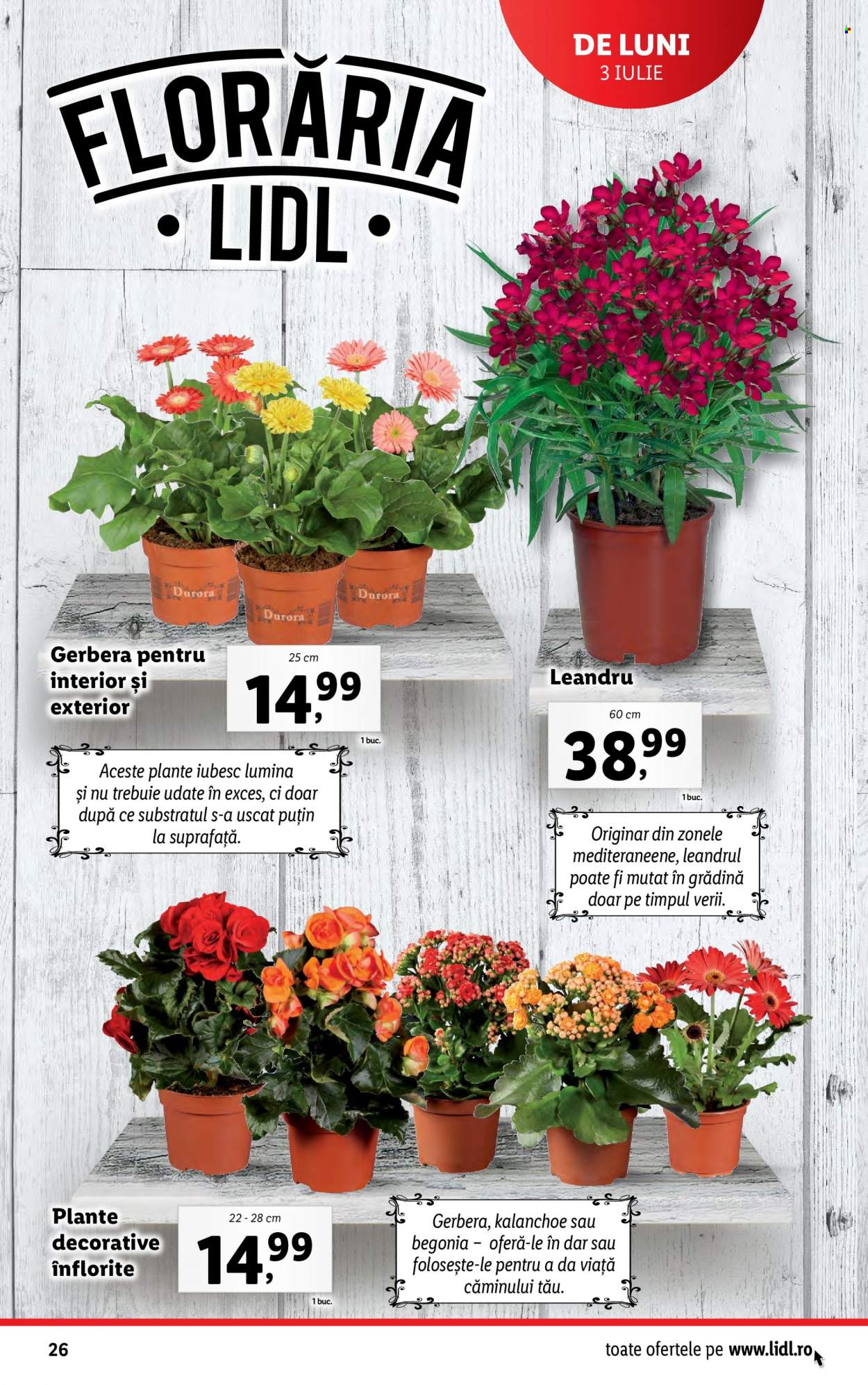 Catalog Lidl - 03.07.2023 - 09.07.2023. Pagina 26