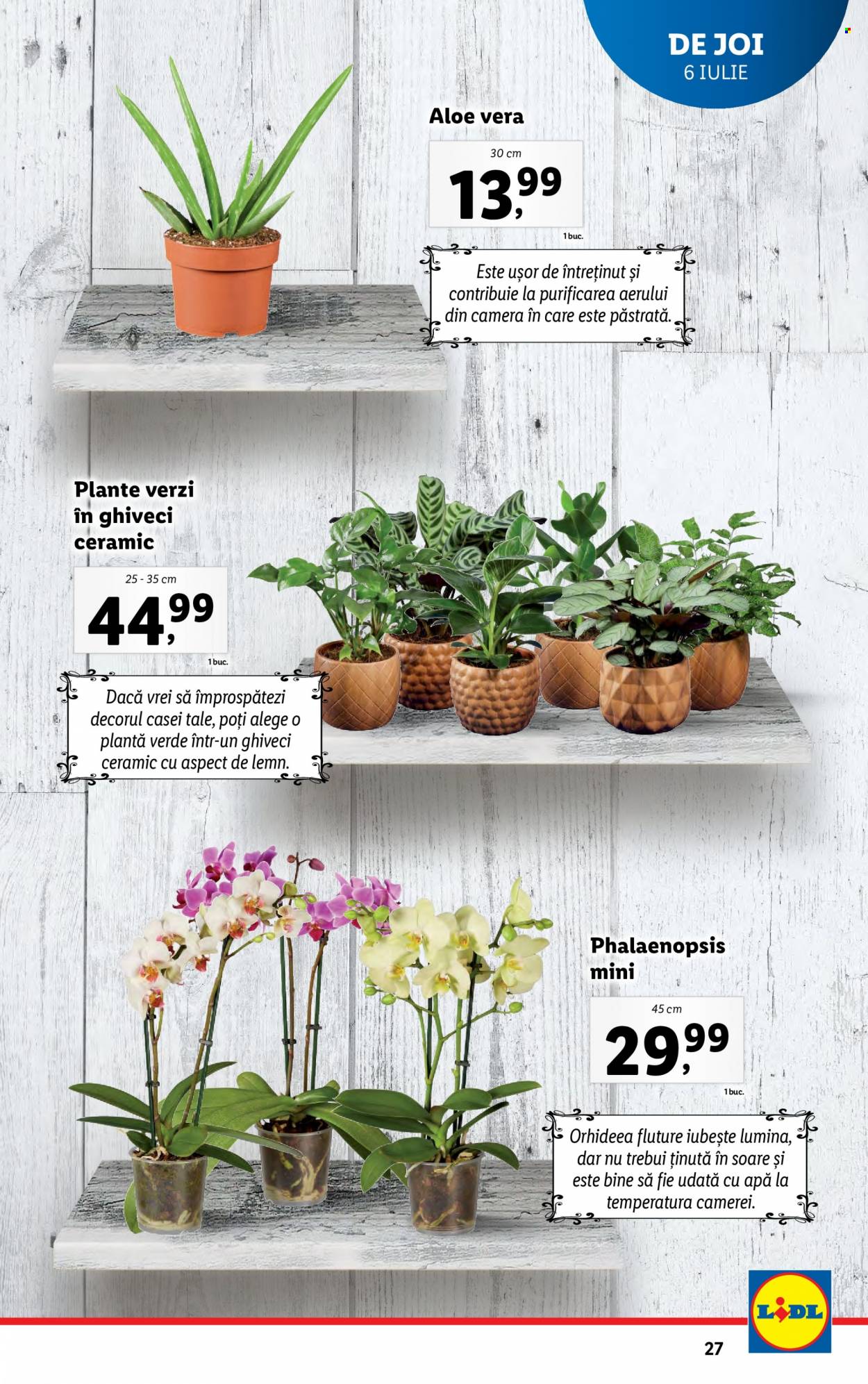 Catalog Lidl - 03.07.2023 - 09.07.2023. Pagina 27