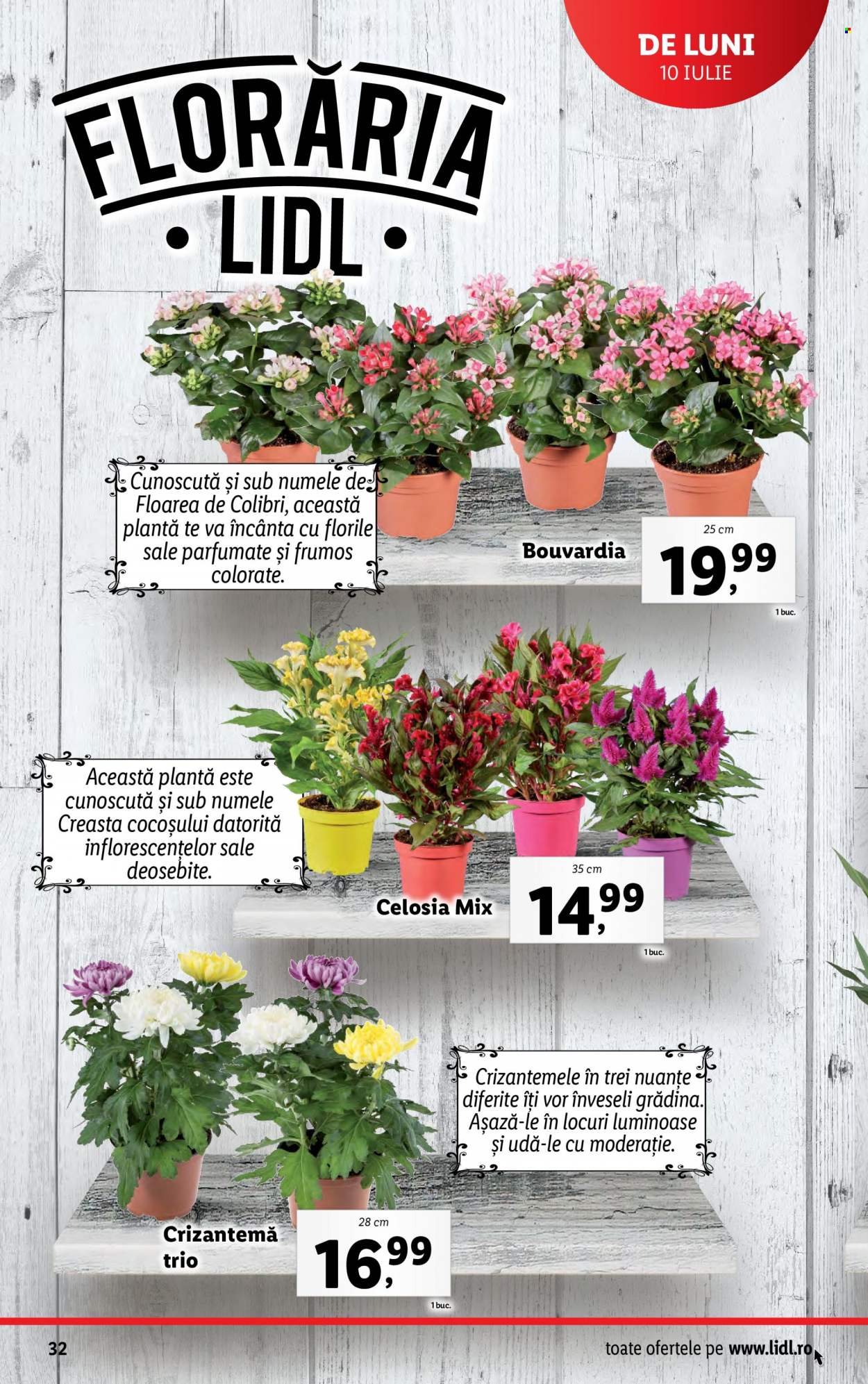 Catalog Lidl - 10.07.2023 - 16.07.2023. Pagina 32
