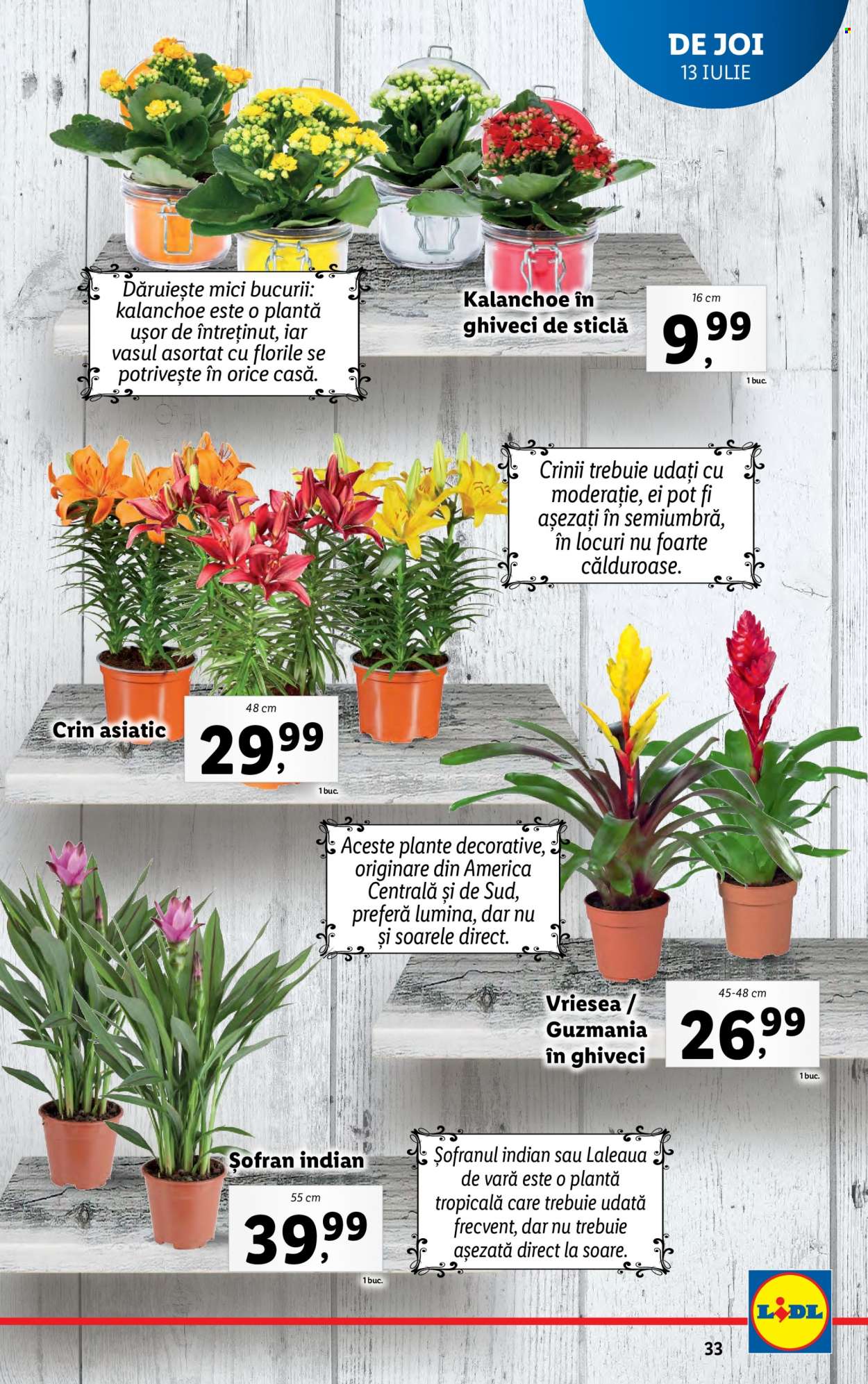 Catalog Lidl - 10.07.2023 - 16.07.2023. Pagina 33