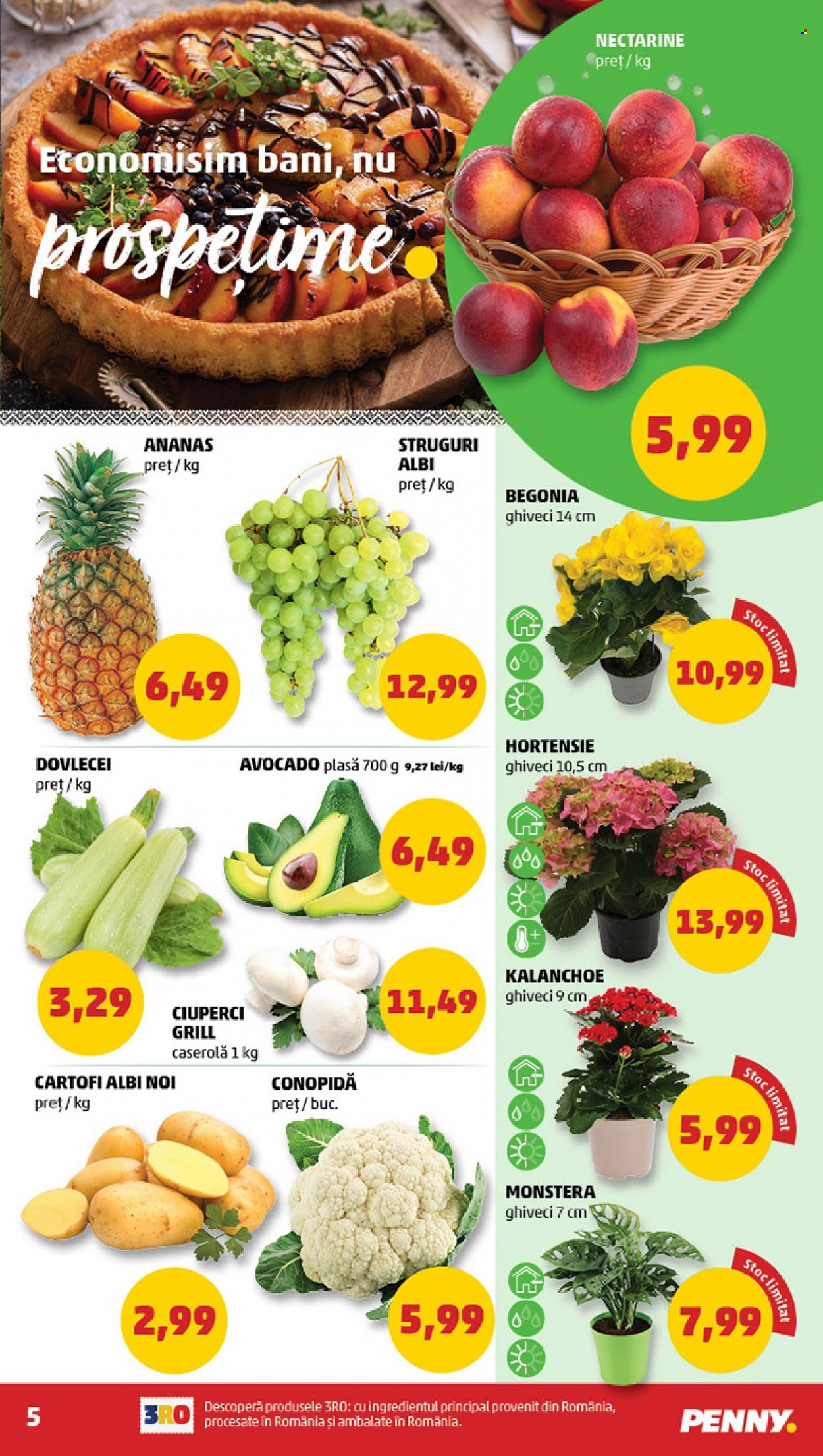 Catalog PENNY - 05.07.2023 - 11.07.2023. Pagina 5