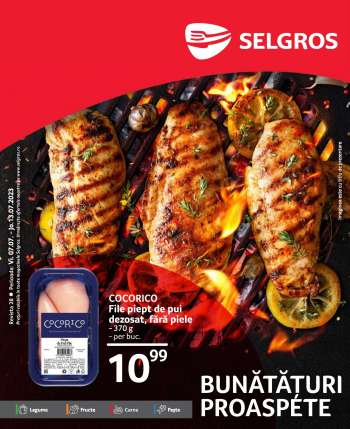 Cataloage Selgros - 07.07.2023 - 20.07.2023.
