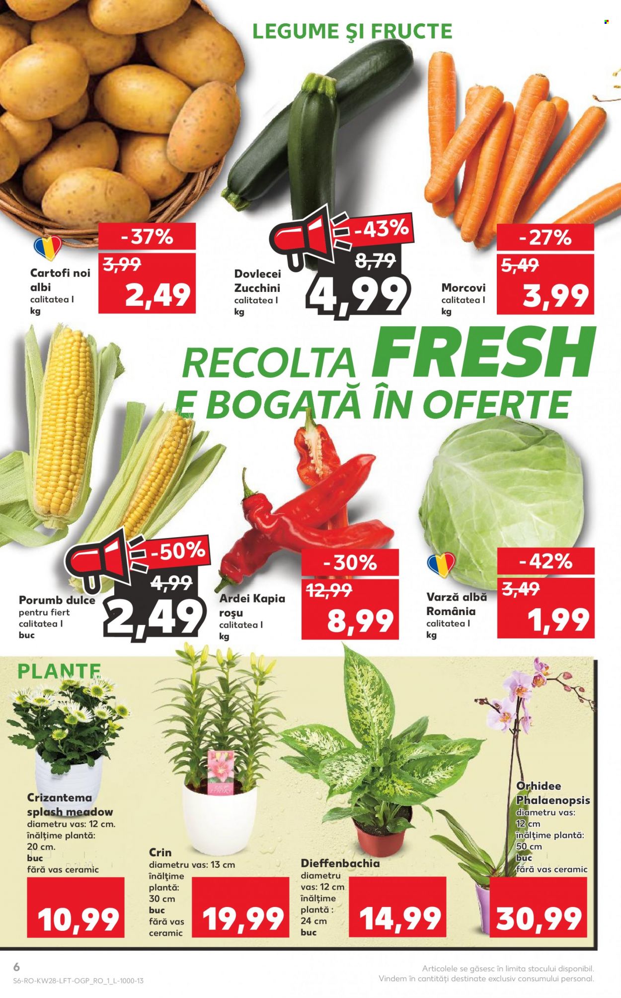 Catalog Kaufland - 12.07.2023 - 18.07.2023. Pagina 6