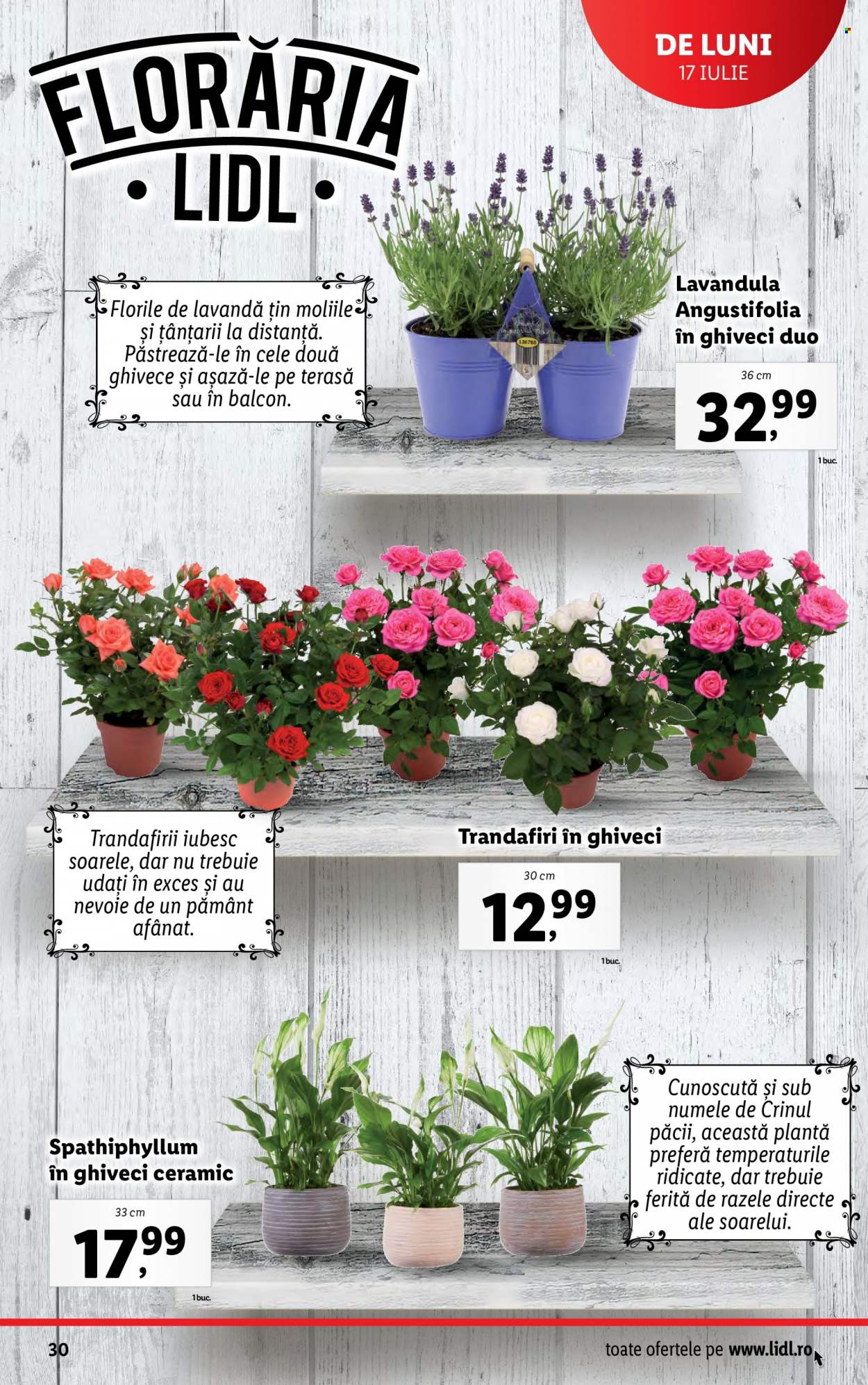 Catalog Lidl - 17.07.2023 - 23.07.2023. Pagina 30