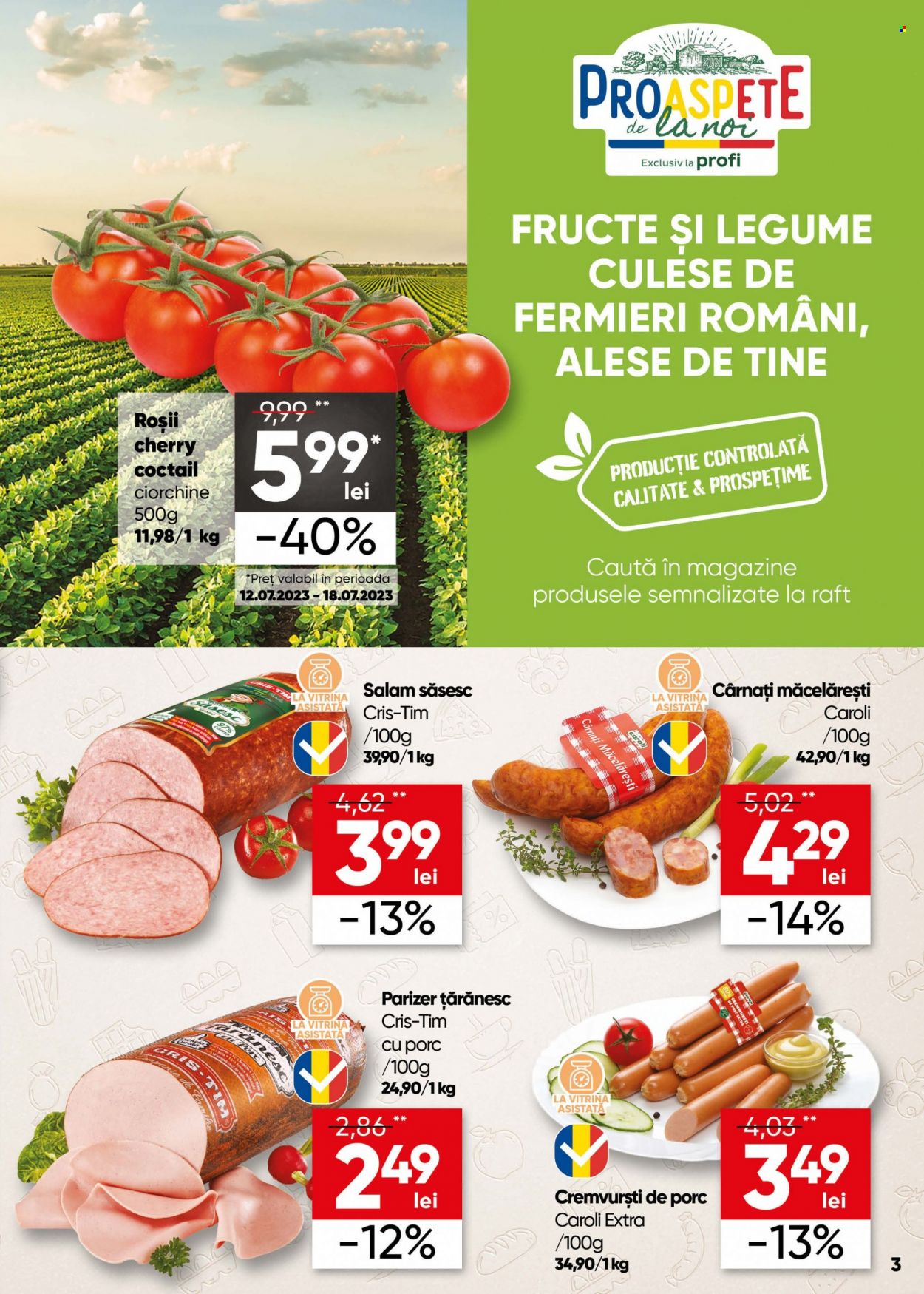 Catalog Profi Loco - 12.07.2023 - 25.07.2023. Pagina 3