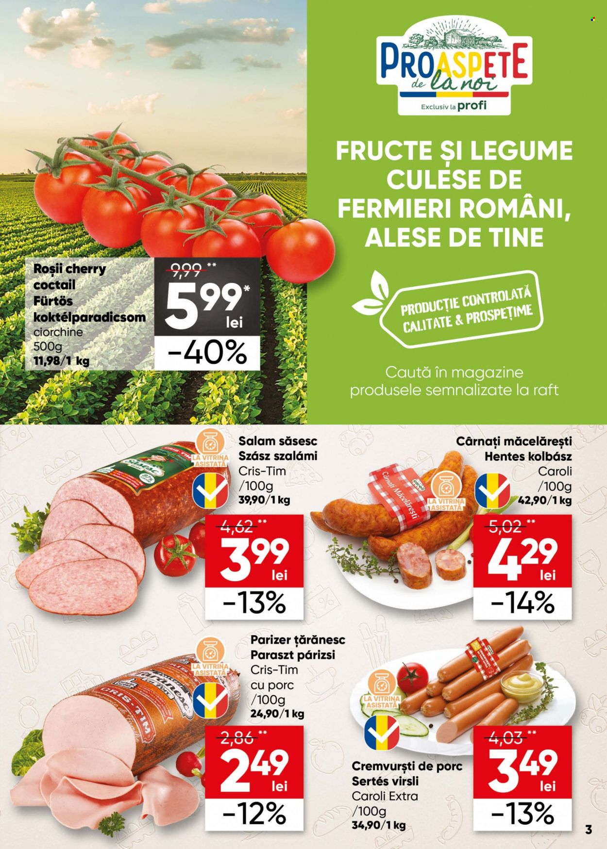 Catalog Profi Loco - 12.07.2023 - 25.07.2023. Pagina 3