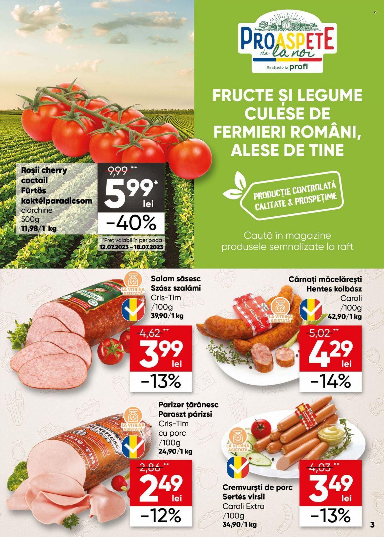 Catalog Profi Loco - 12.07.2023 - 25.07.2023. Pagina 3