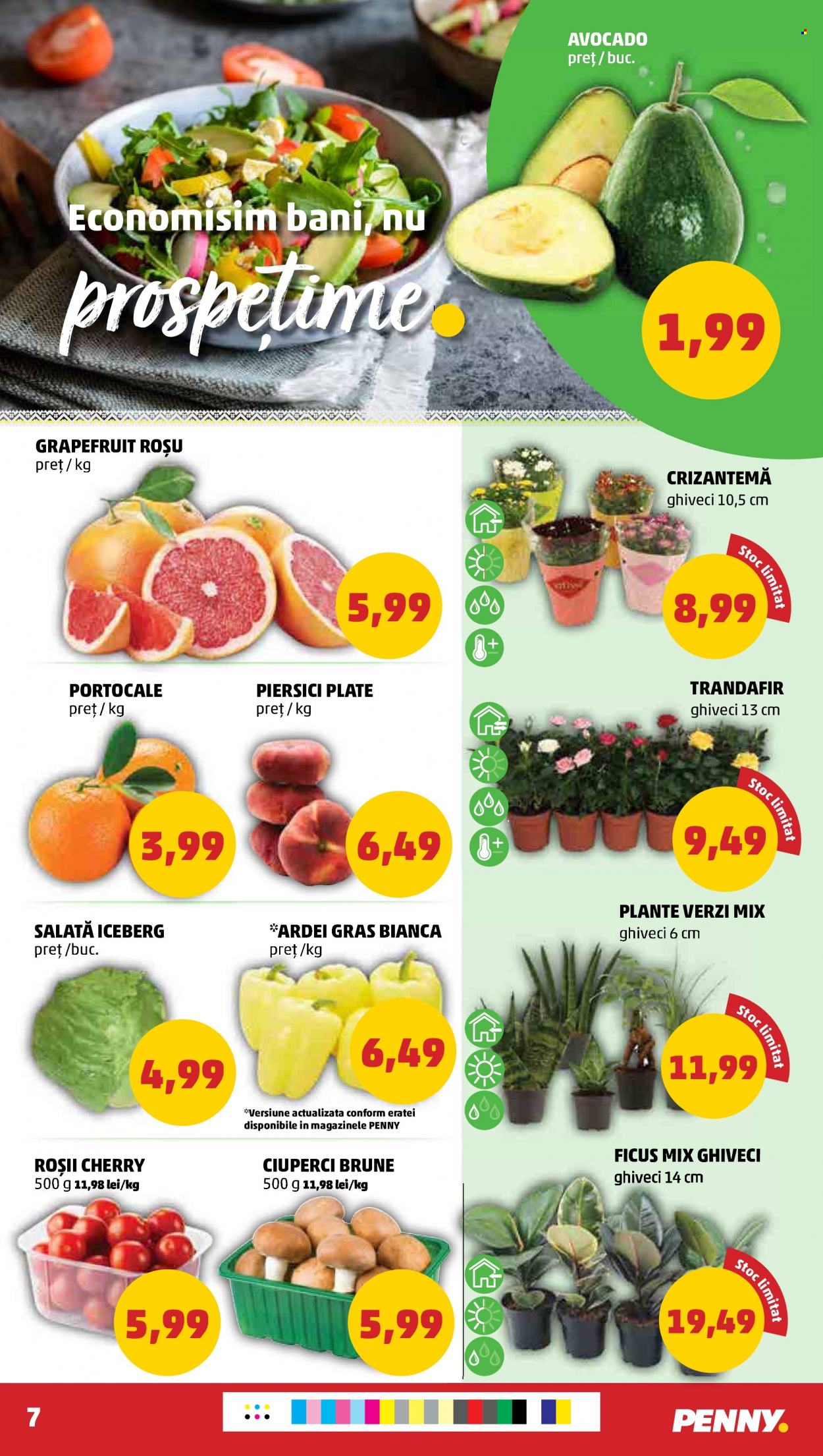 Catalog PENNY - 19.07.2023 - 25.07.2023. Pagina 7