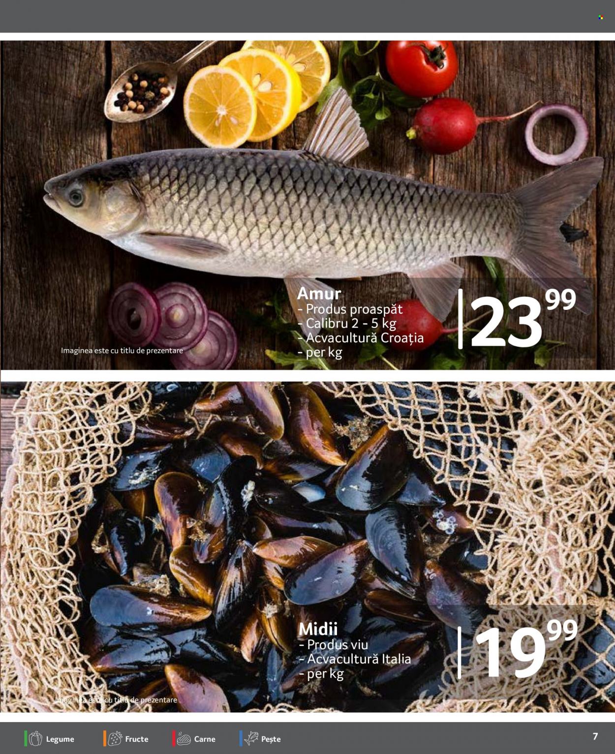 Catalog Selgros - 21.07.2023 - 27.07.2023. Pagina 7