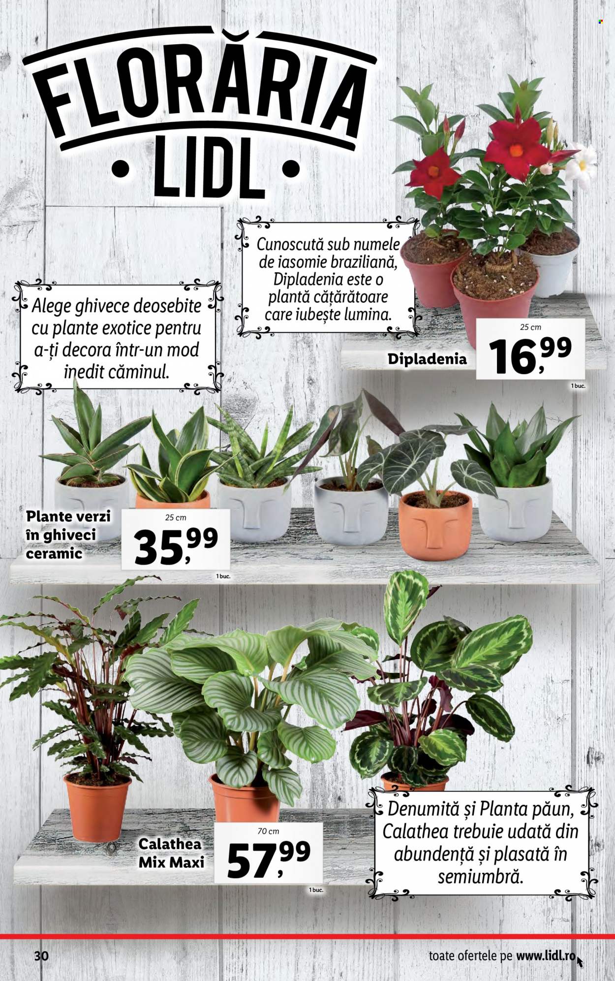 Catalog Lidl - 07.08.2023 - 13.08.2023. Pagina 30