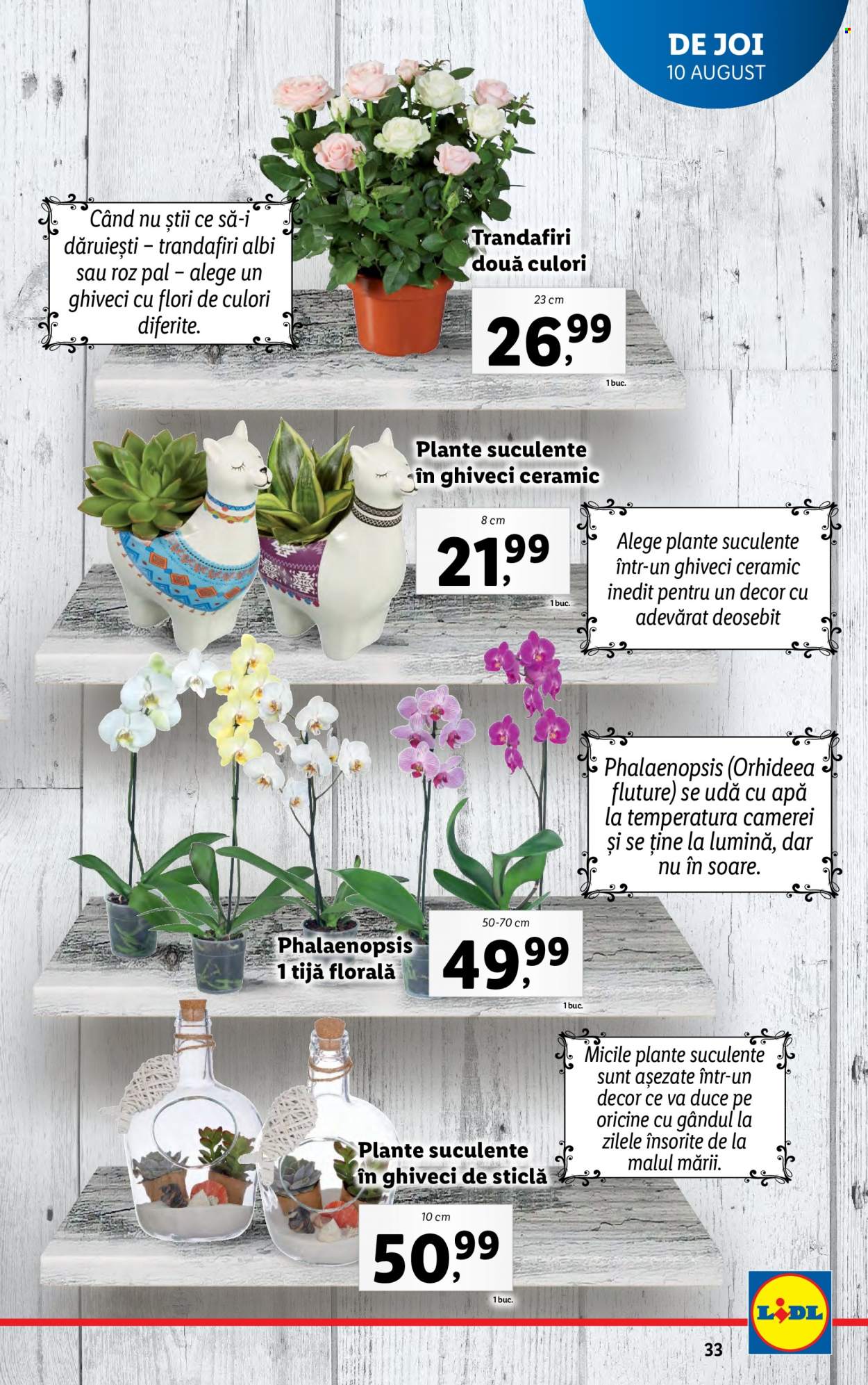 Catalog Lidl - 07.08.2023 - 13.08.2023. Pagina 33