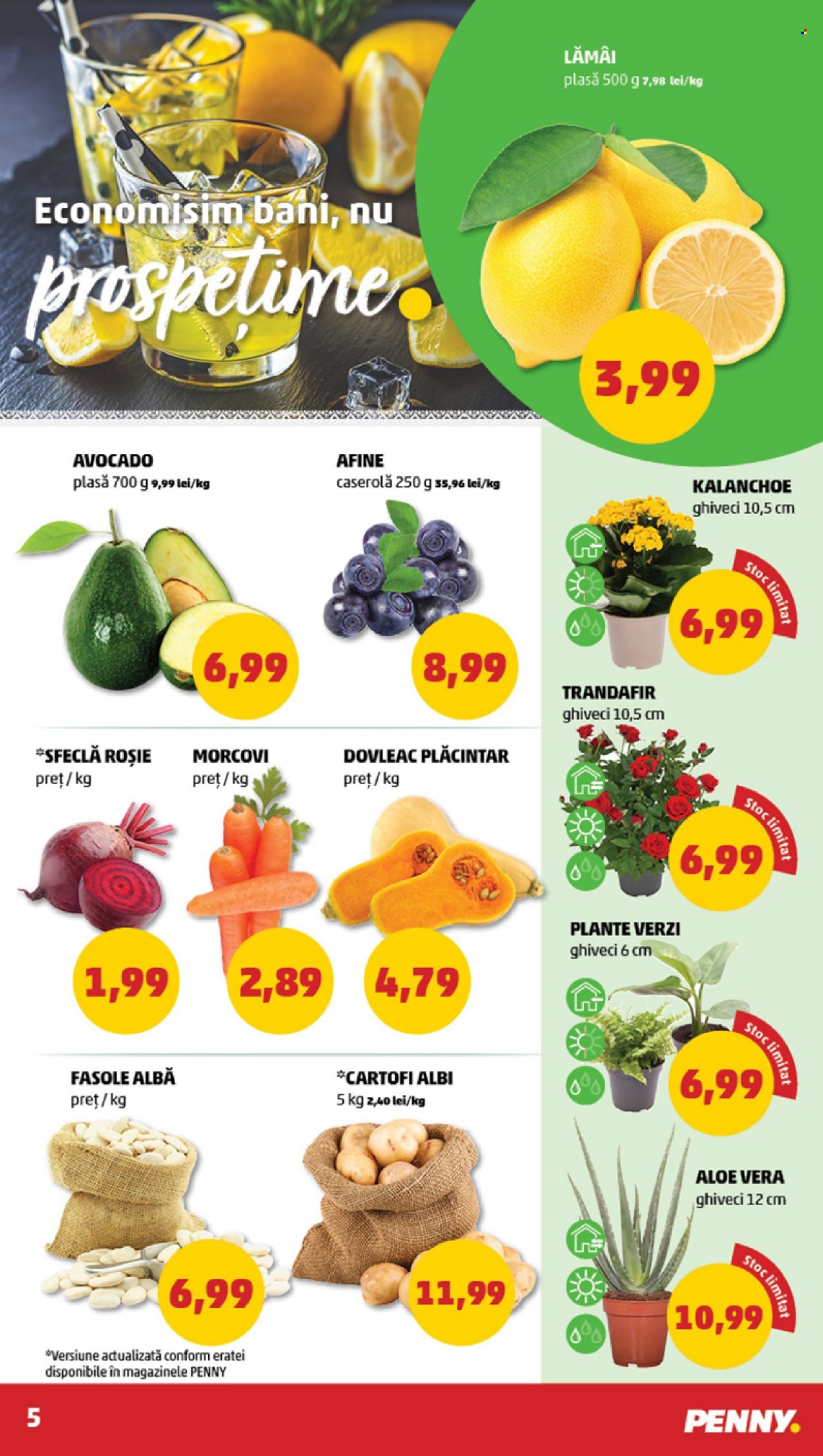 Catalog PENNY - 02.08.2023 - 08.08.2023. Pagina 5