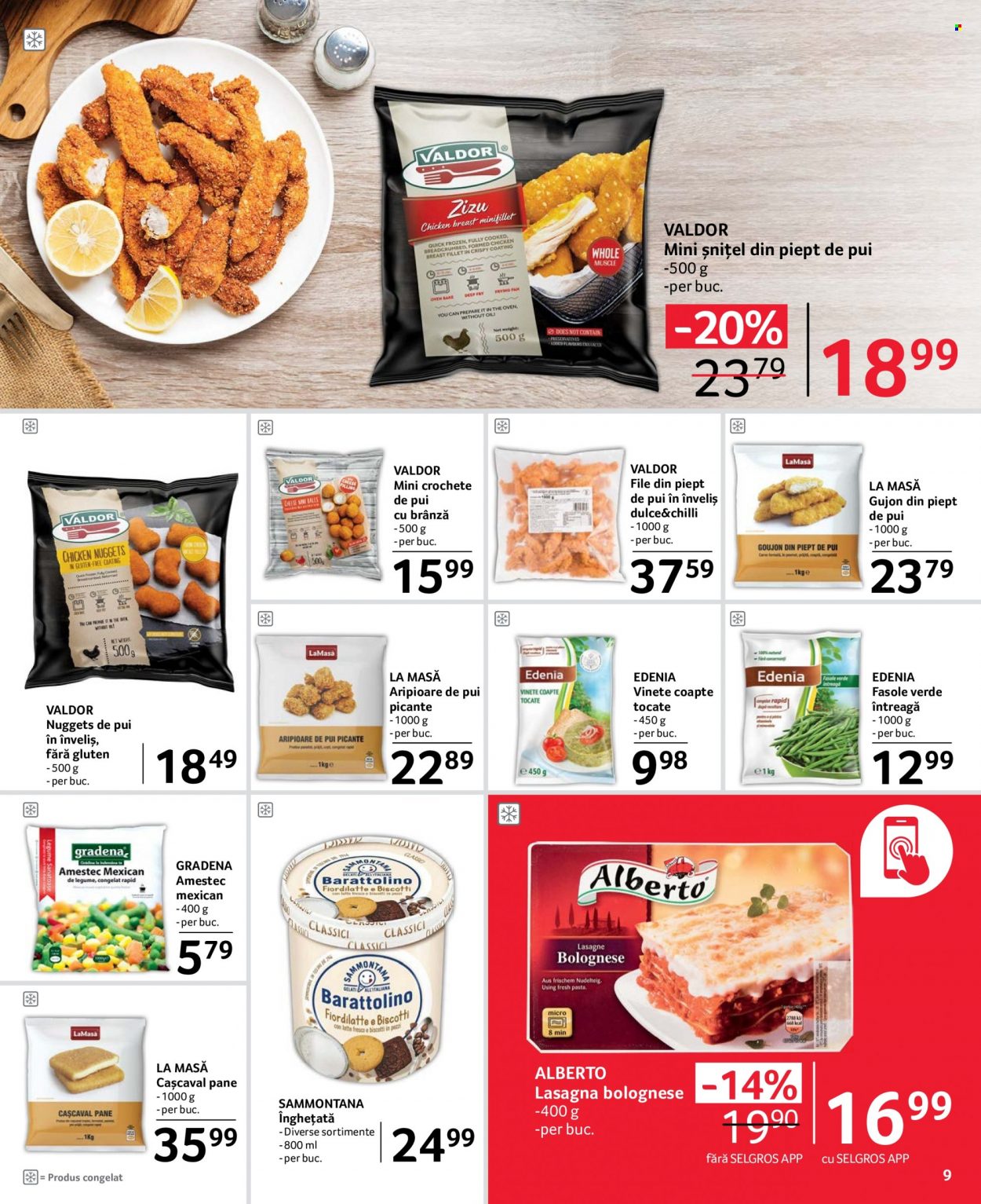 Catalog Selgros - 04.08.2023 - 17.08.2023. Pagina 9