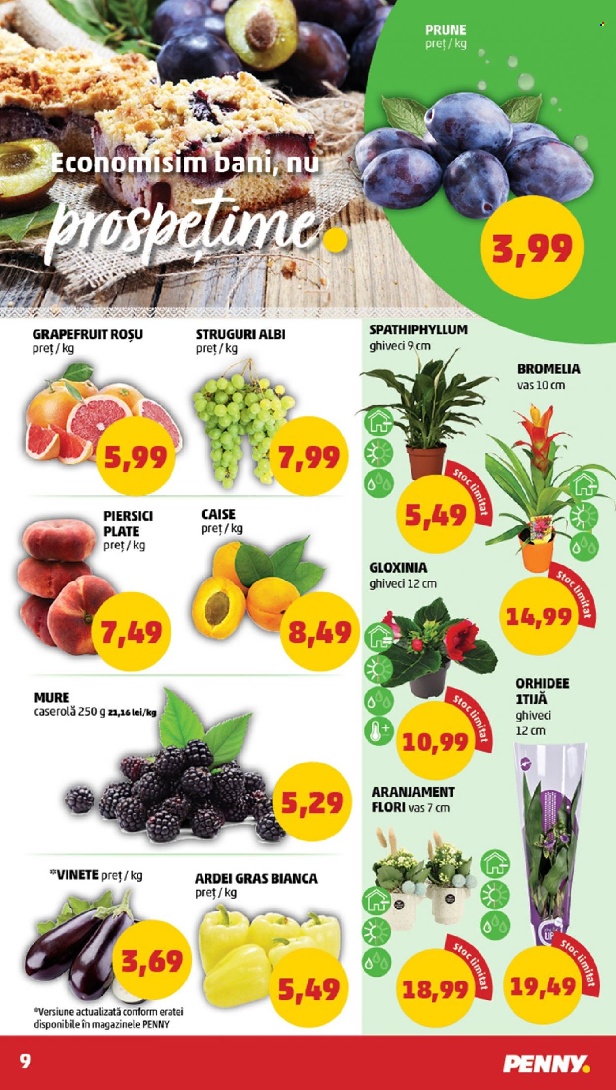 Catalog PENNY - 09.08.2023 - 15.08.2023. Pagina 9