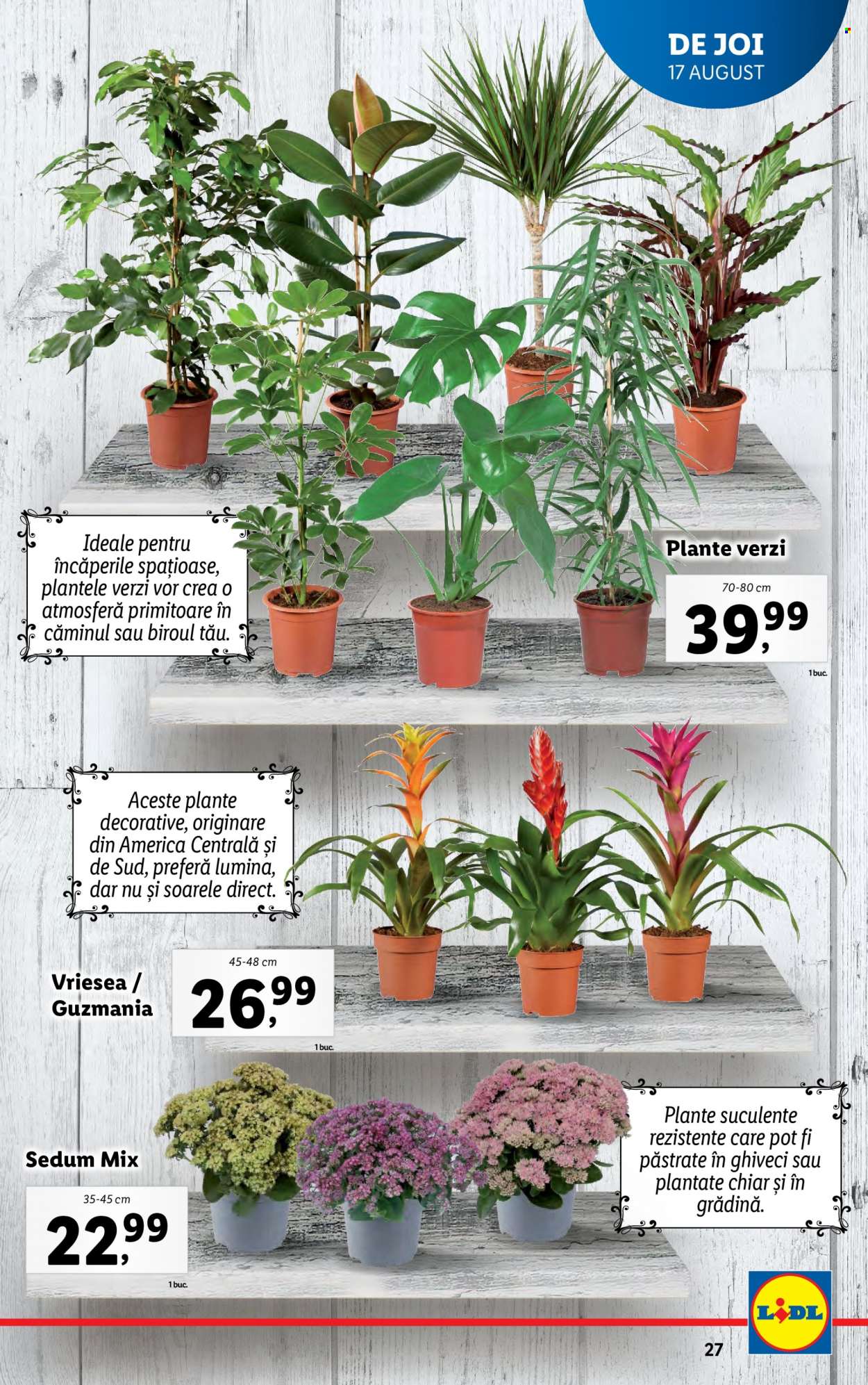 Catalog Lidl - 14.08.2023 - 20.08.2023. Pagina 27