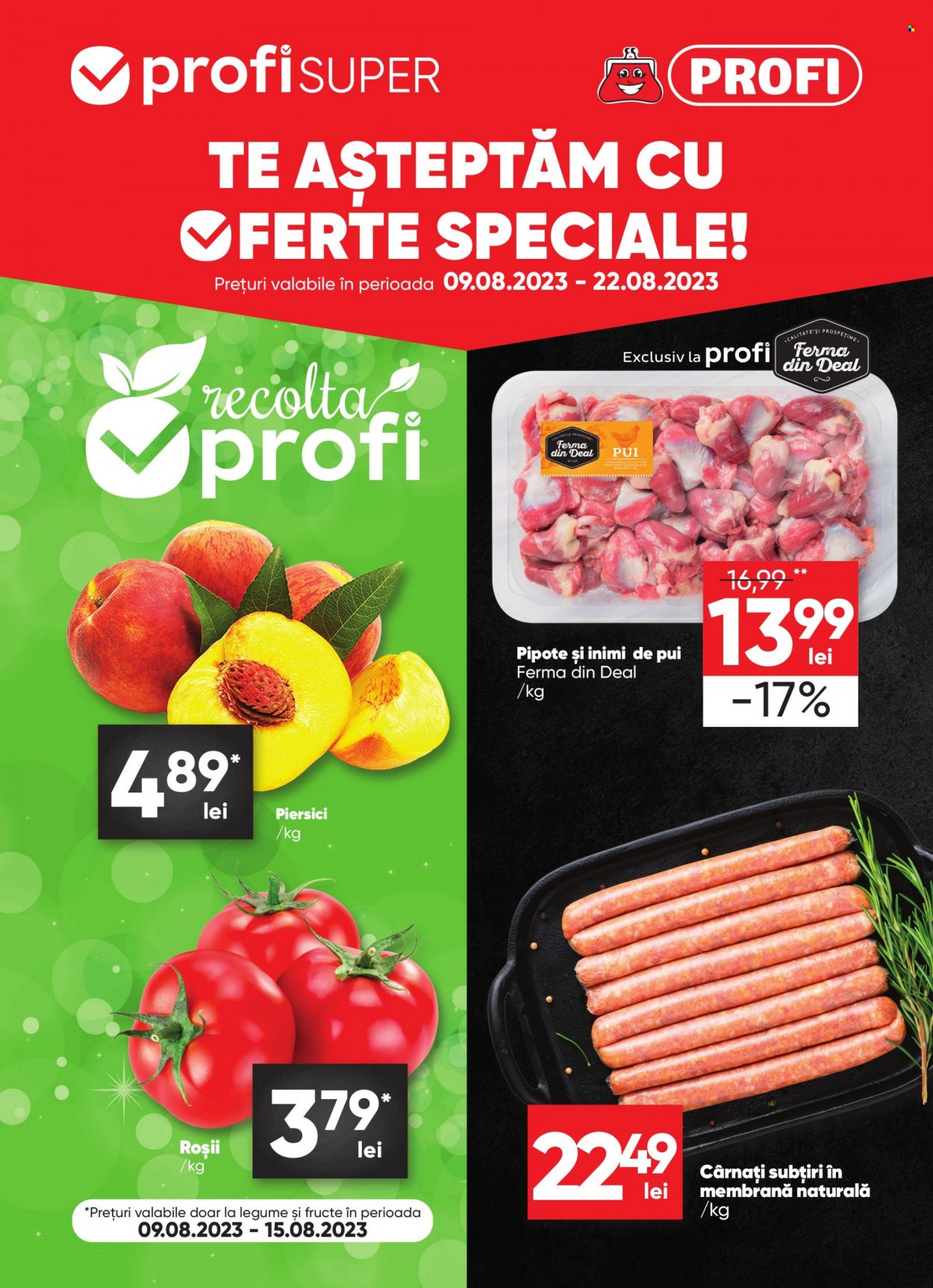 Catalog Profi Super - 09.08.2023 - 22.08.2023. Pagina 1