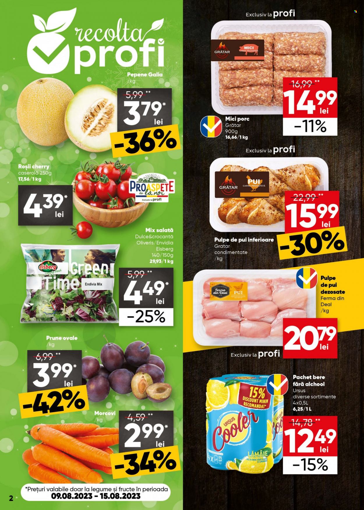 Catalog Profi Loco - 09.08.2023 - 22.08.2023. Pagina 2