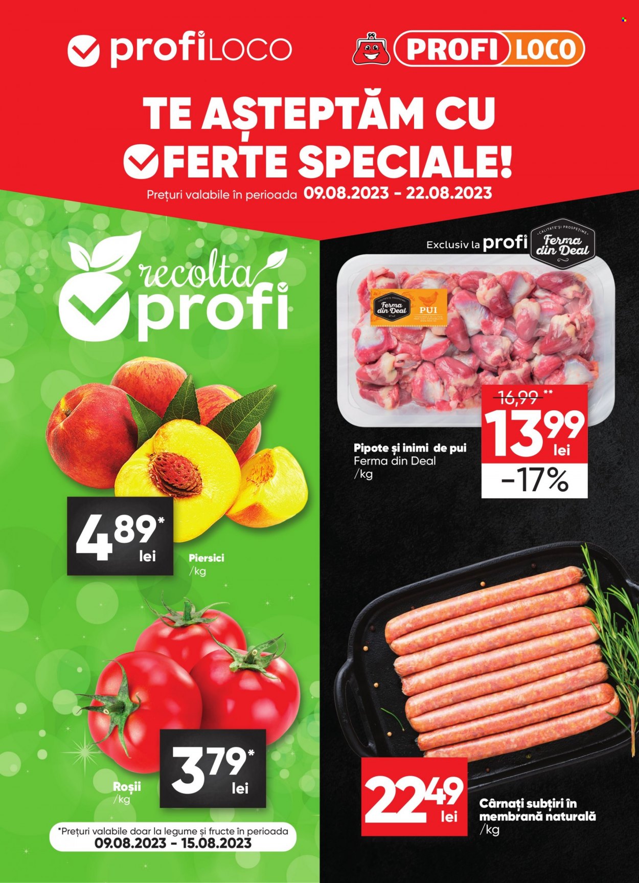Catalog Profi Loco - 09.08.2023 - 22.08.2023. Pagina 1