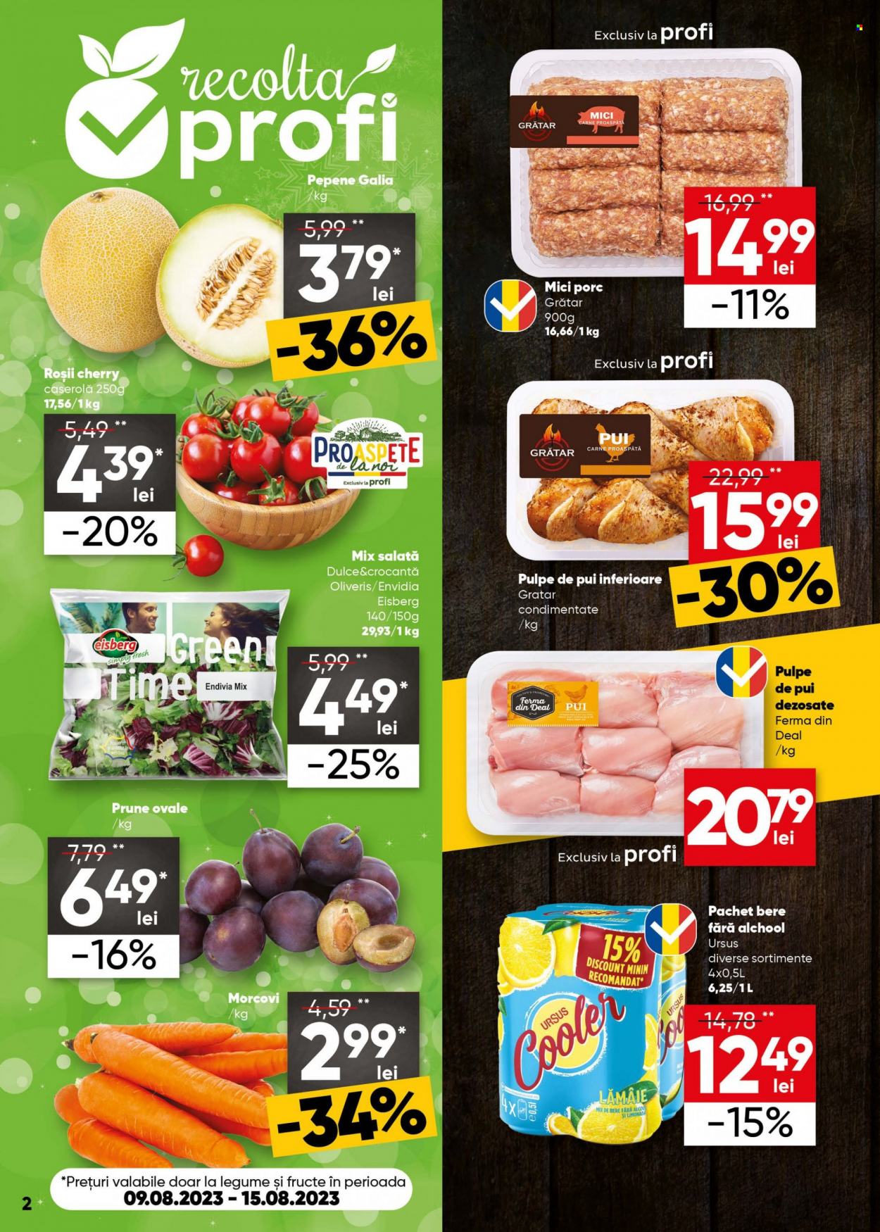 Catalog Profi Loco - 09.08.2023 - 22.08.2023. Pagina 2