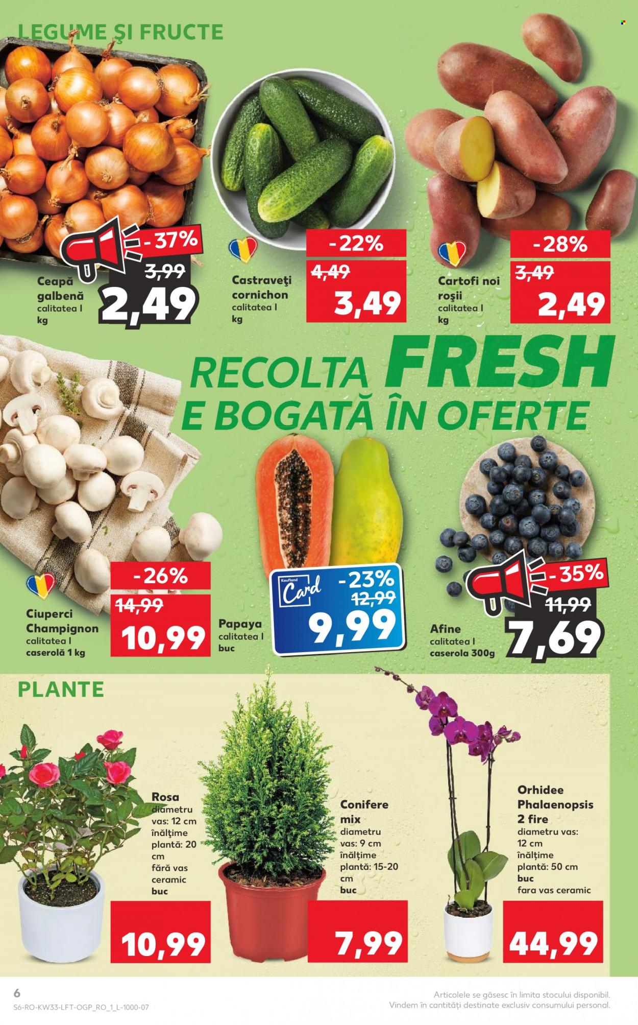 Catalog Kaufland - 16.08.2023 - 22.08.2023. Pagina 6