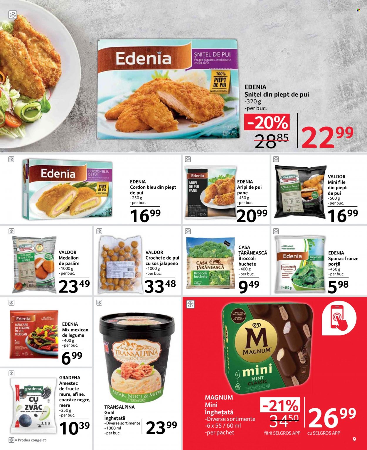 Catalog Selgros - 18.08.2023 - 31.08.2023. Pagina 9