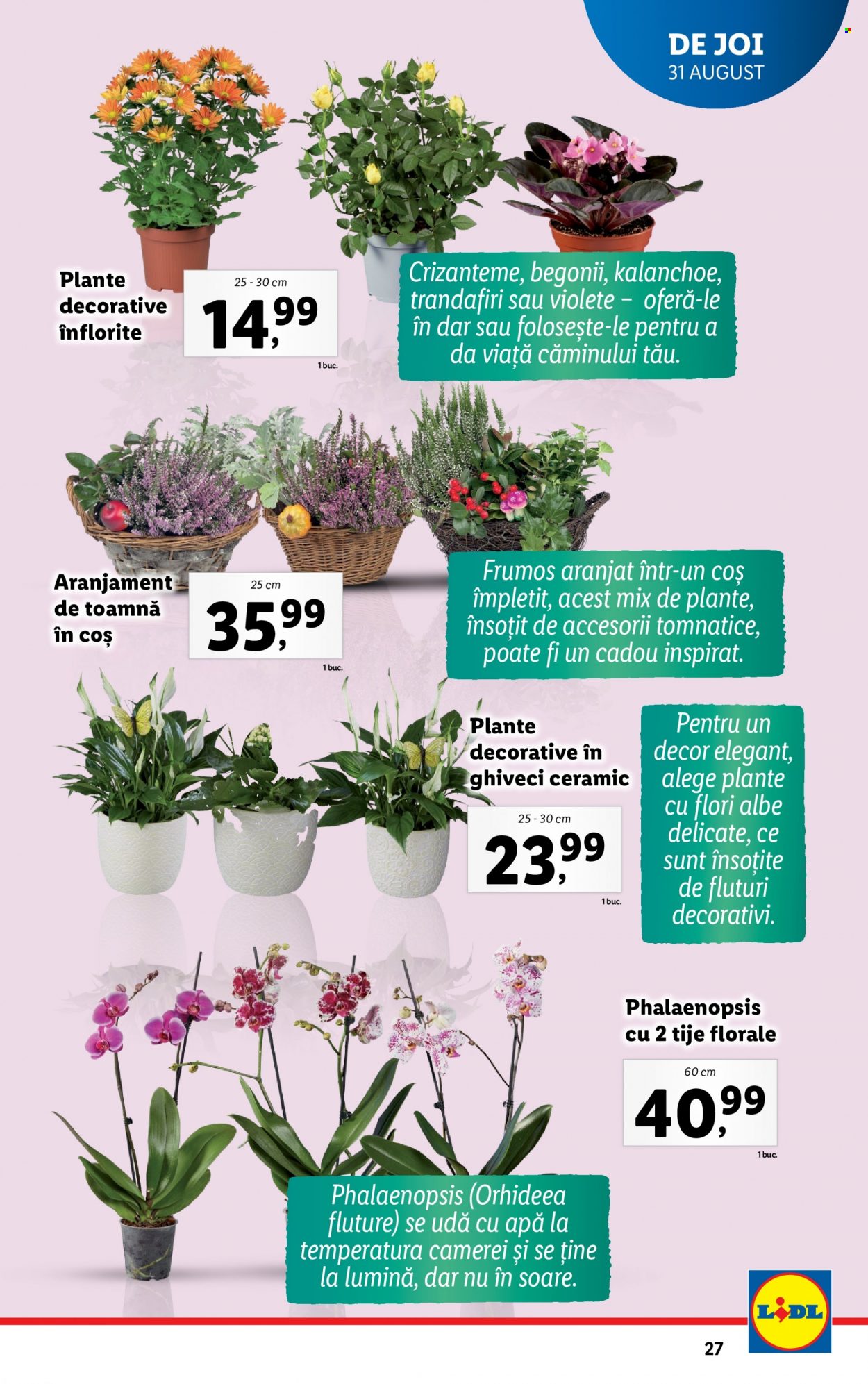 Catalog Lidl - 28.08.2023 - 03.09.2023. Pagina 27