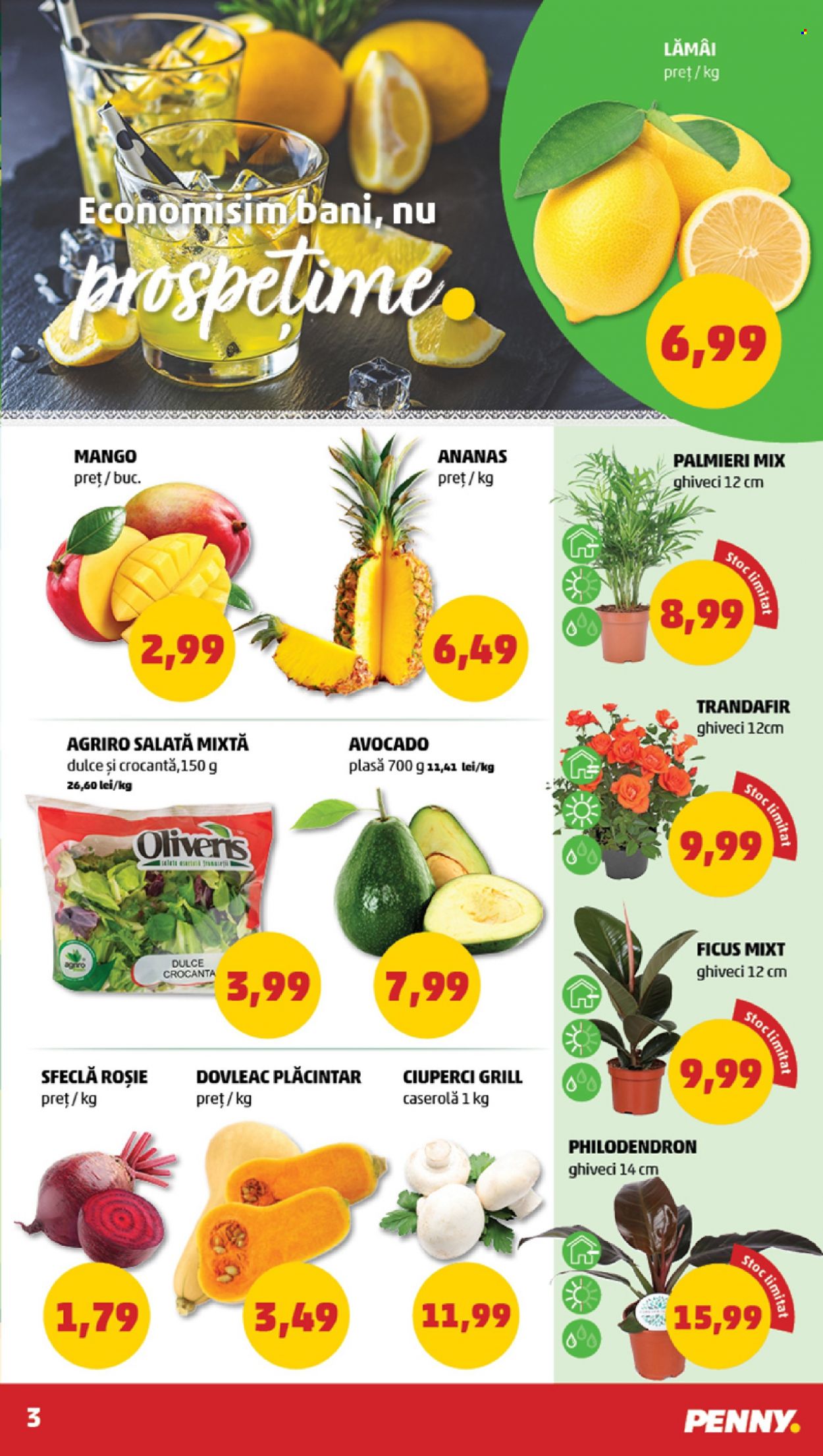 Catalog PENNY - 23.08.2023 - 29.08.2023. Pagina 3