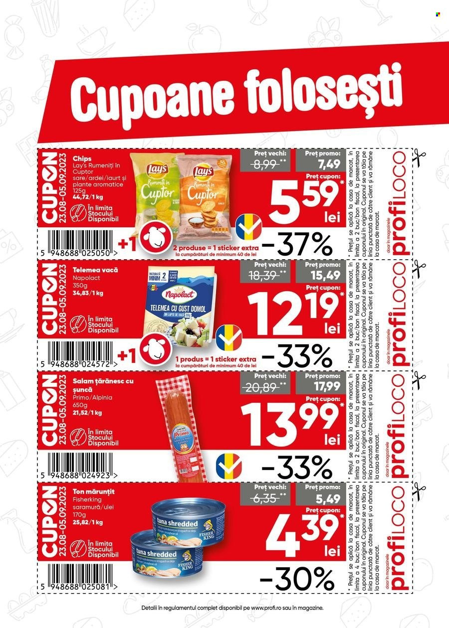 Catalog Profi Loco - 23.08.2023 - 05.09.2023. Pagina 4