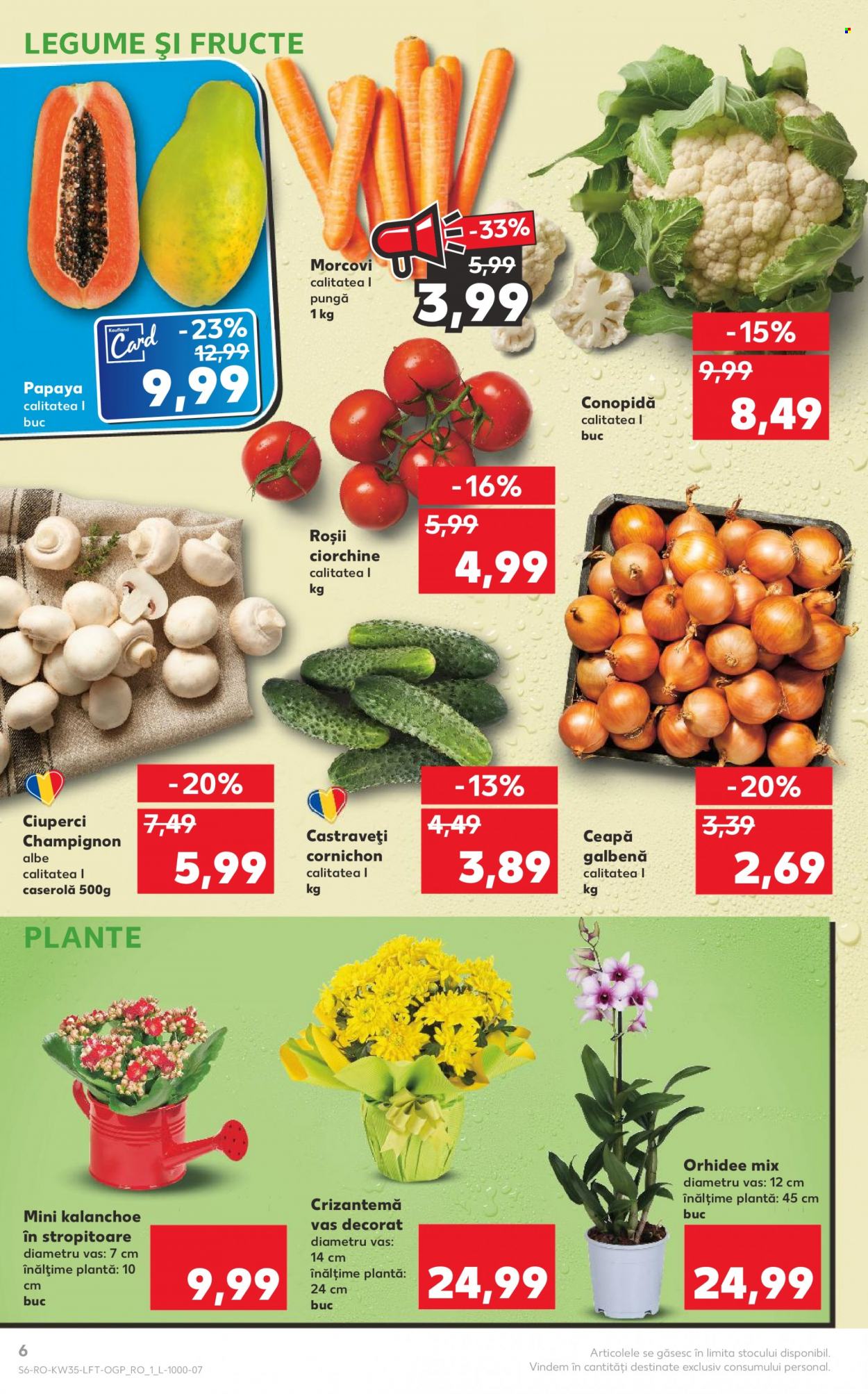 Catalog Kaufland - 30.08.2023 - 05.09.2023. Pagina 6