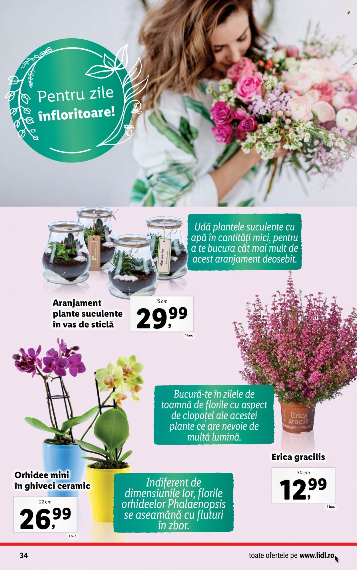Catalog Lidl - 04.09.2023 - 10.09.2023. Pagina 34