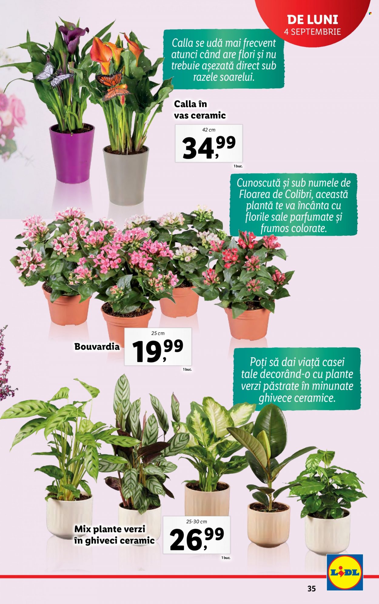 Catalog Lidl - 04.09.2023 - 10.09.2023. Pagina 35