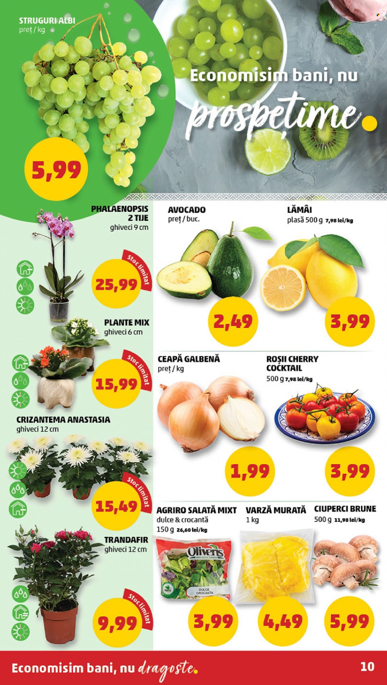 Catalog PENNY - 06.09.2023 - 12.09.2023. Pagina 10