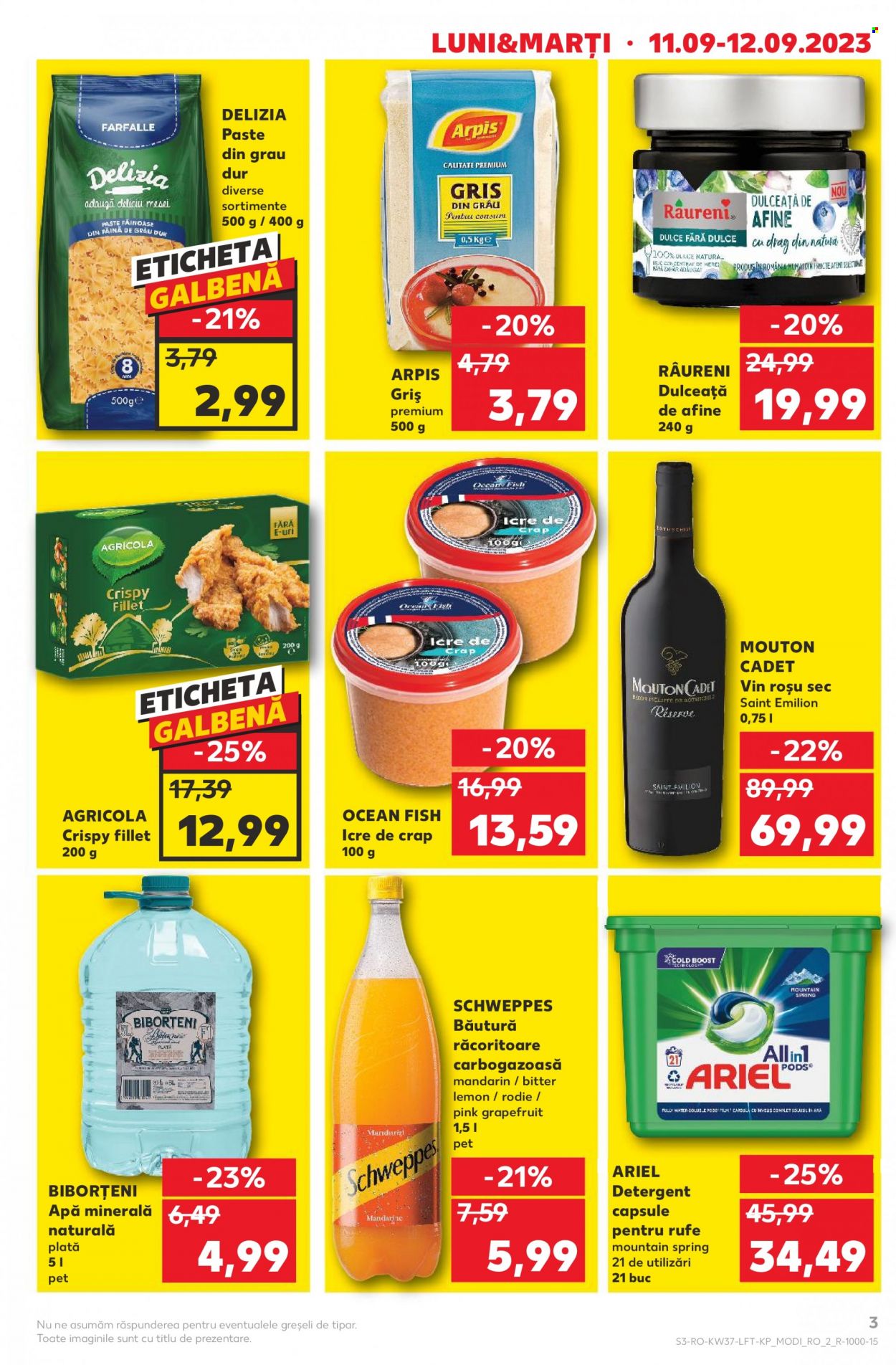 Catalog Kaufland - 13.09.2023 - 19.09.2023. Pagina 3