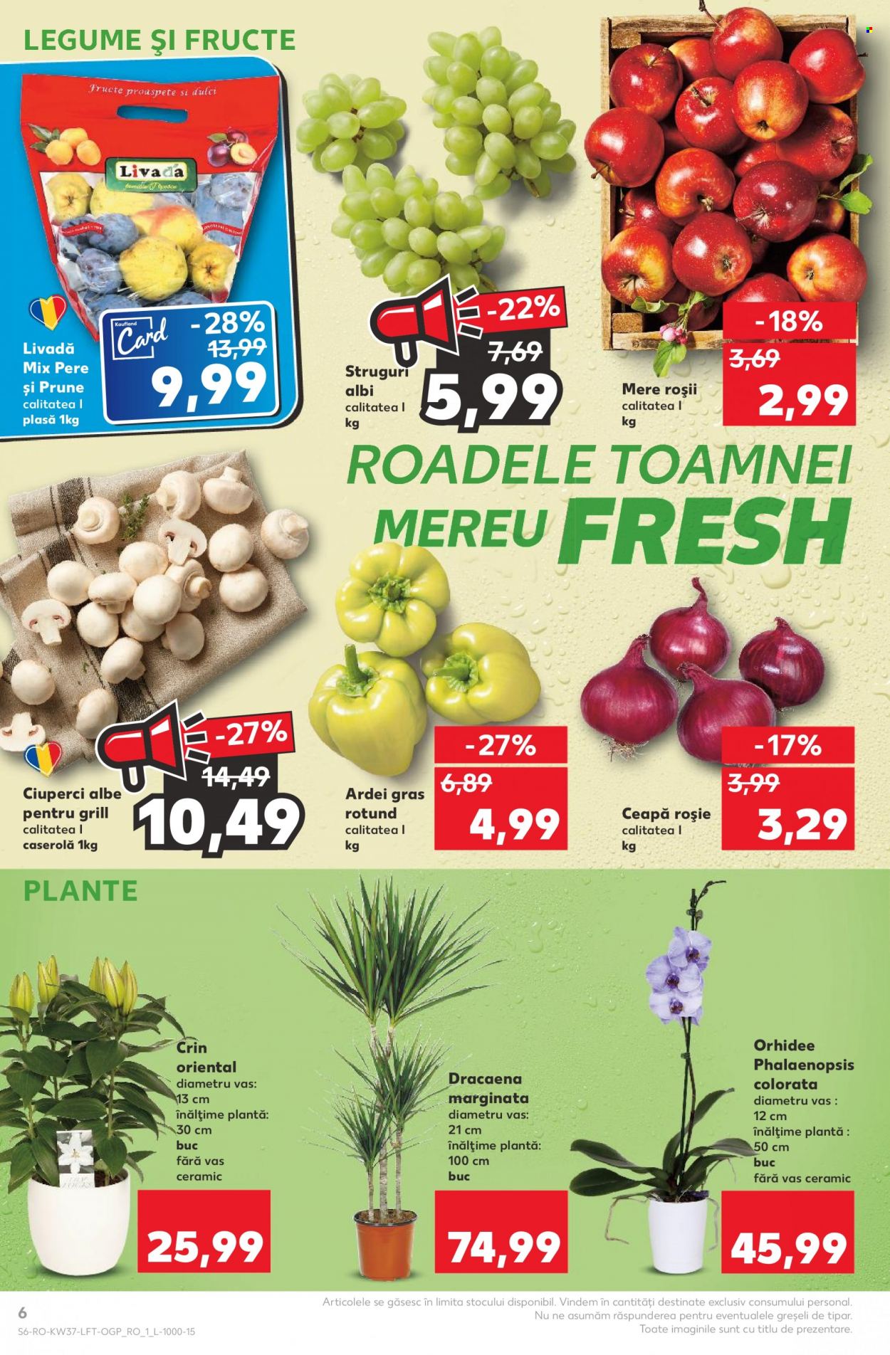 Catalog Kaufland - 13.09.2023 - 19.09.2023. Pagina 6