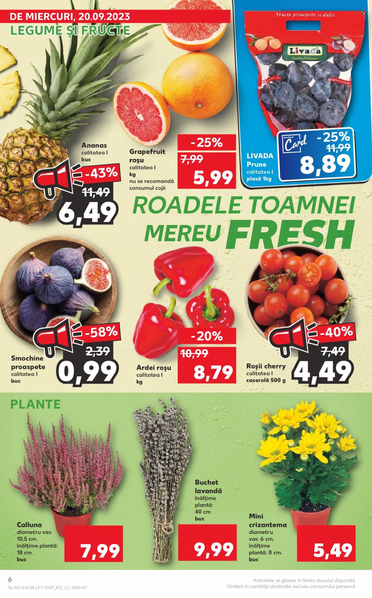 Catalog Kaufland - 20.09.2023 - 26.09.2023. Pagina 6