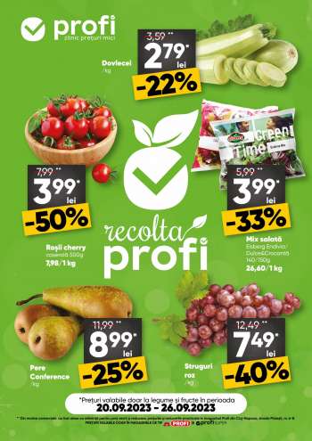 Catalog Profi