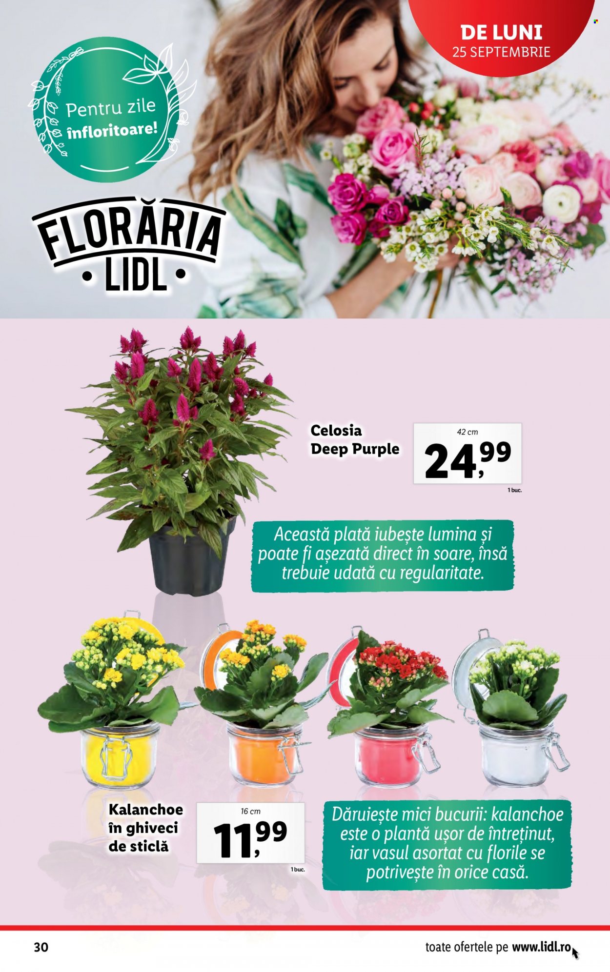 Catalog Lidl - 25.09.2023 - 01.10.2023. Pagina 30