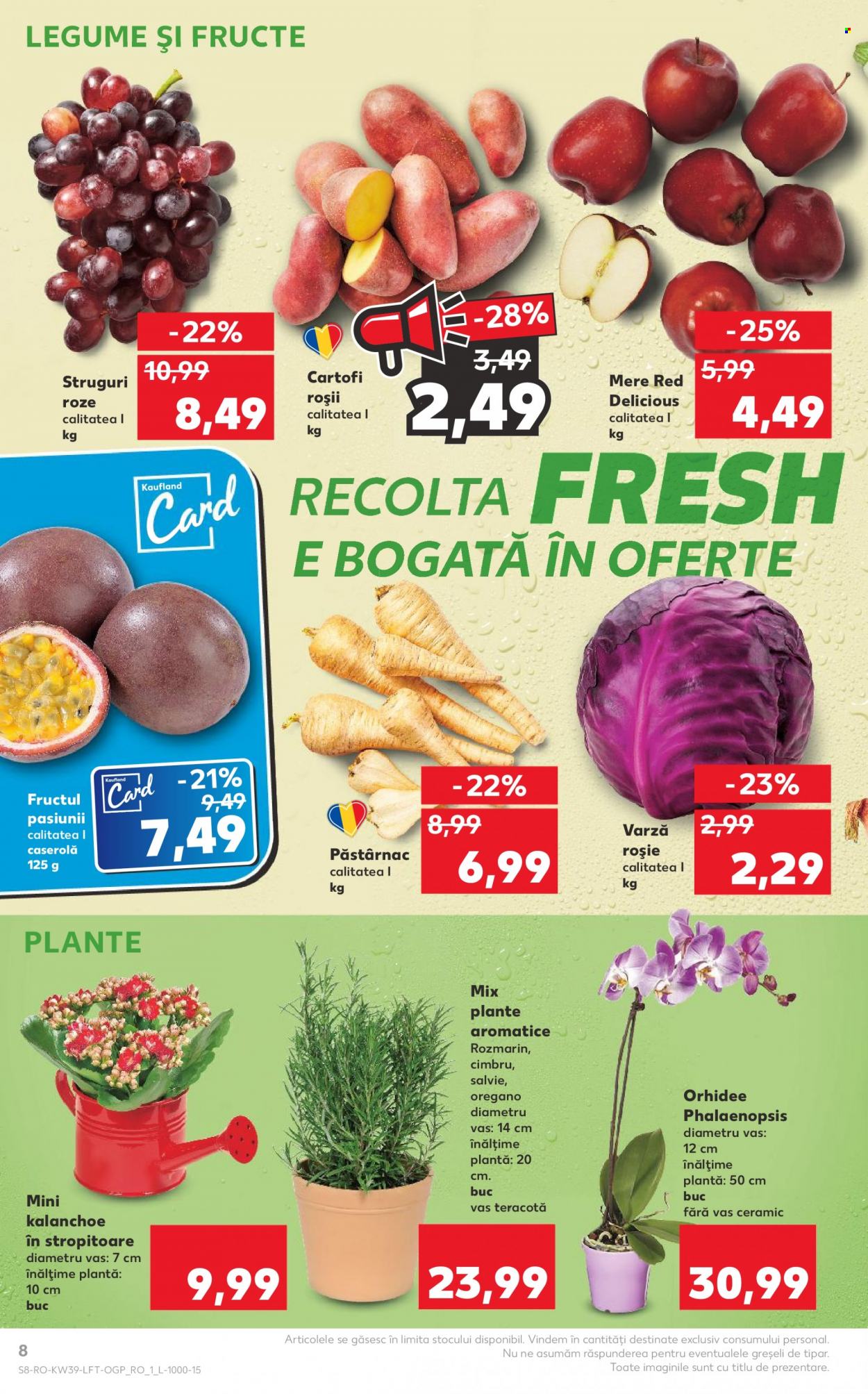 Catalog Kaufland - 27.09.2023 - 03.10.2023. Pagina 8