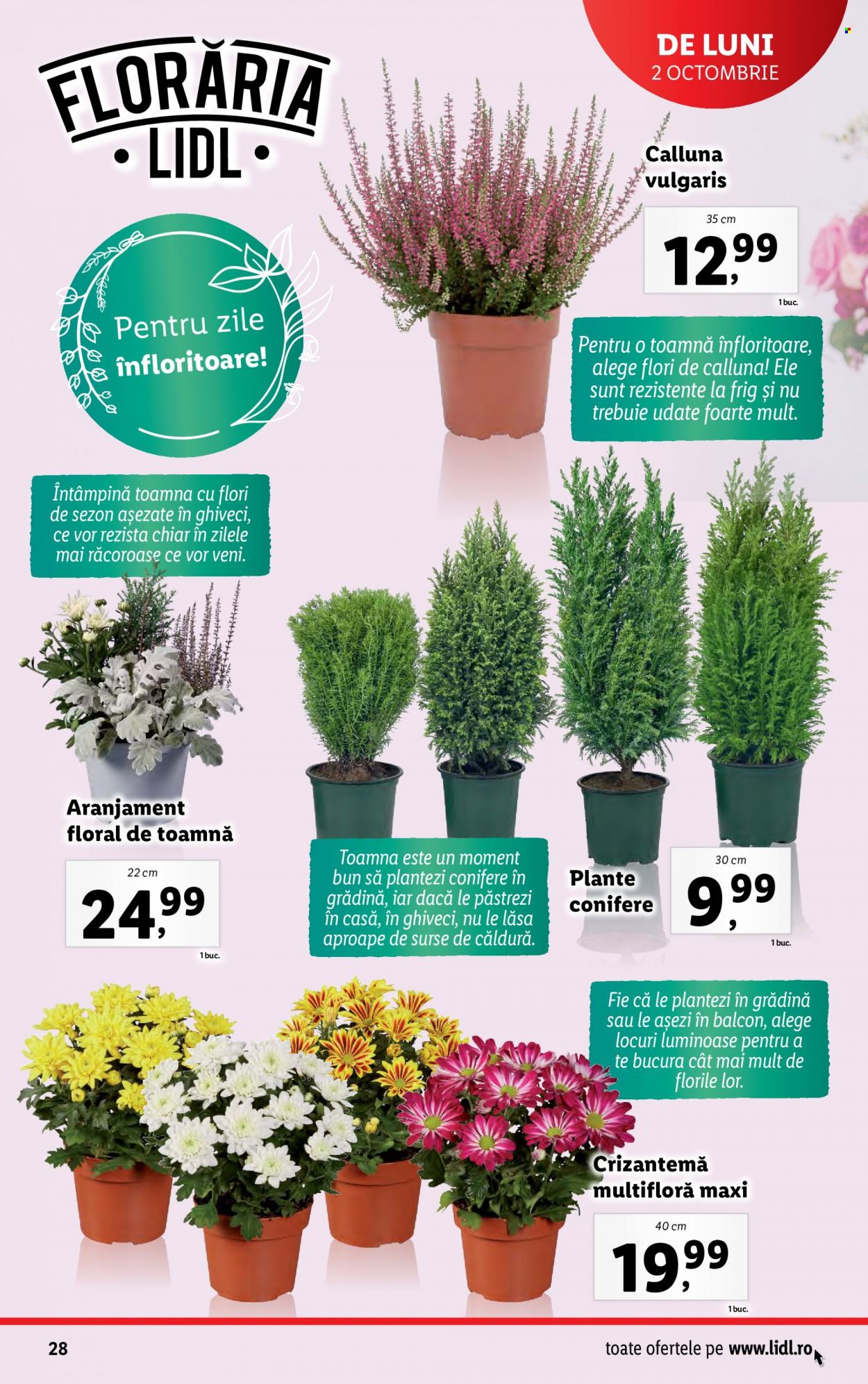 Catalog Lidl - 02.10.2023 - 08.10.2023. Pagina 28