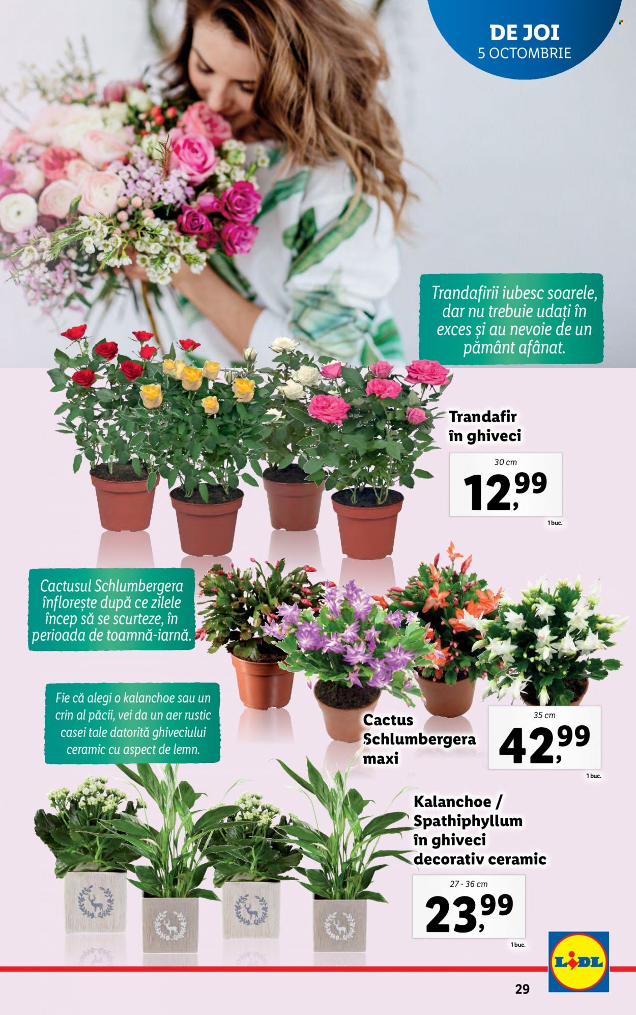 Catalog Lidl - 02.10.2023 - 08.10.2023. Pagina 29