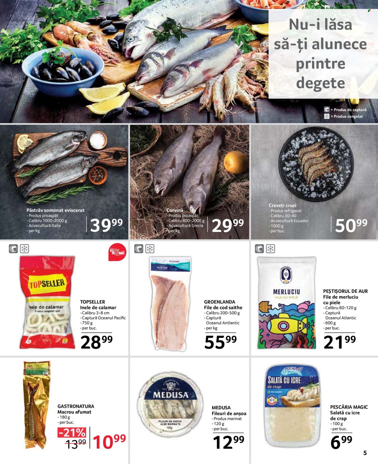 Catalog Selgros - 29.09.2023 - 12.10.2023. Pagina 5