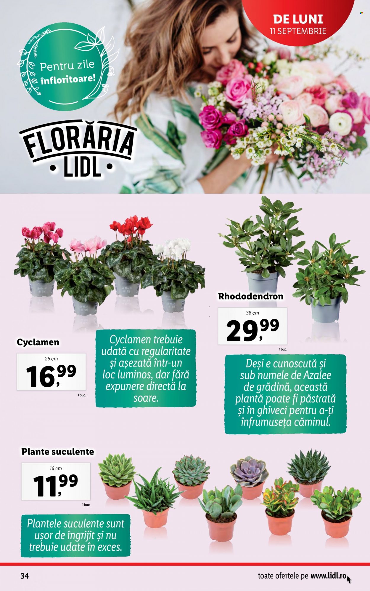 Catalog Lidl - 09.10.2023 - 15.10.2023. Pagina 34