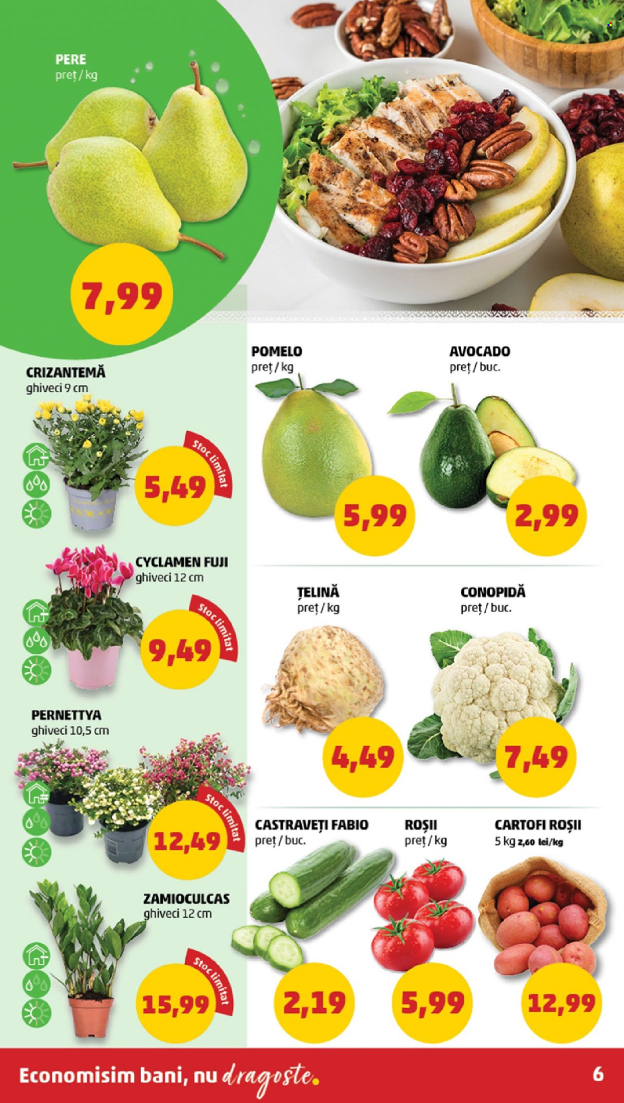 Catalog PENNY - 04.10.2023 - 10.10.2023. Pagina 6