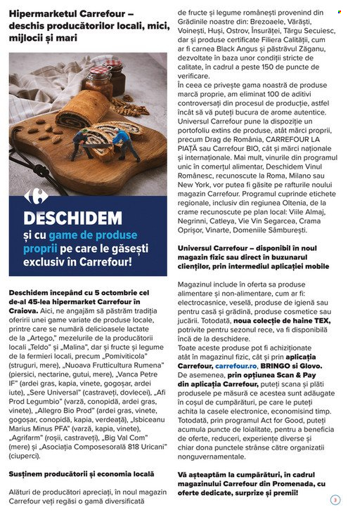 Catalog Carrefour - 05.10.2023 - 08.10.2023. Pagina 3