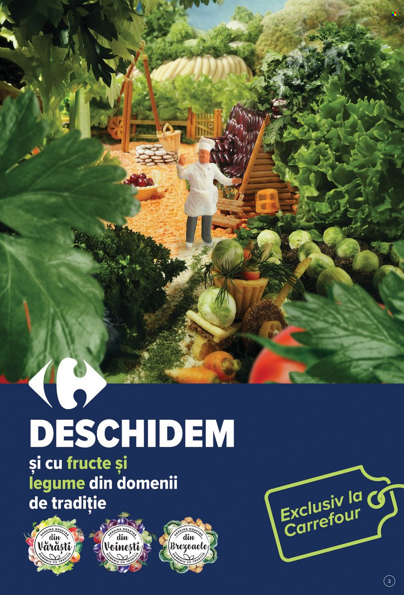Catalog Carrefour - 09.10.2023 - 17.10.2023. Pagina 3