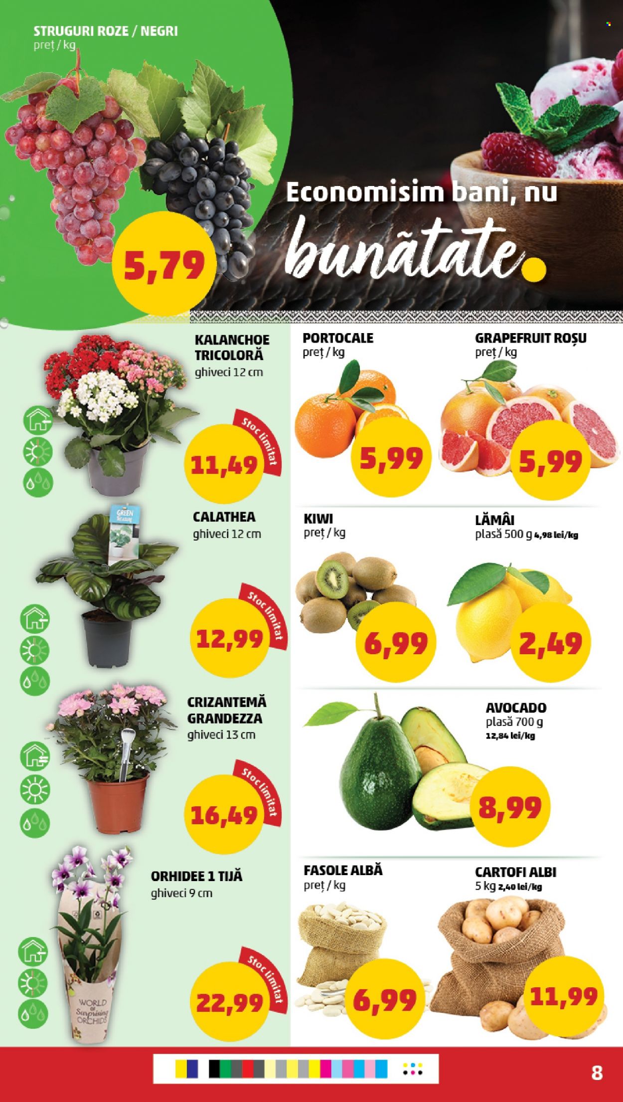 Catalog PENNY - 11.10.2023 - 17.10.2023. Pagina 8