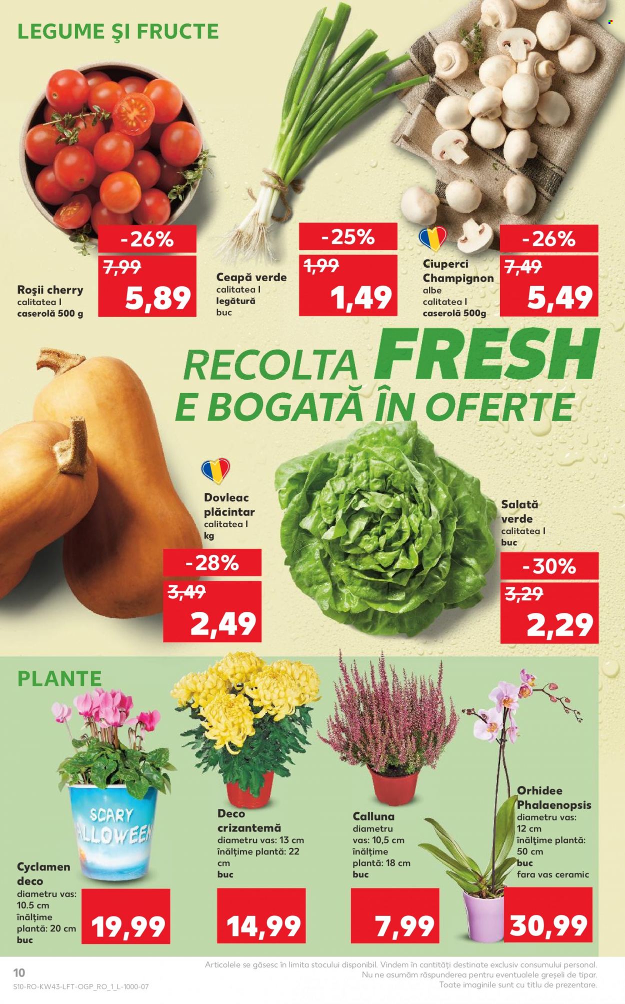 Catalog Kaufland - 25.10.2023 - 31.10.2023. Pagina 10